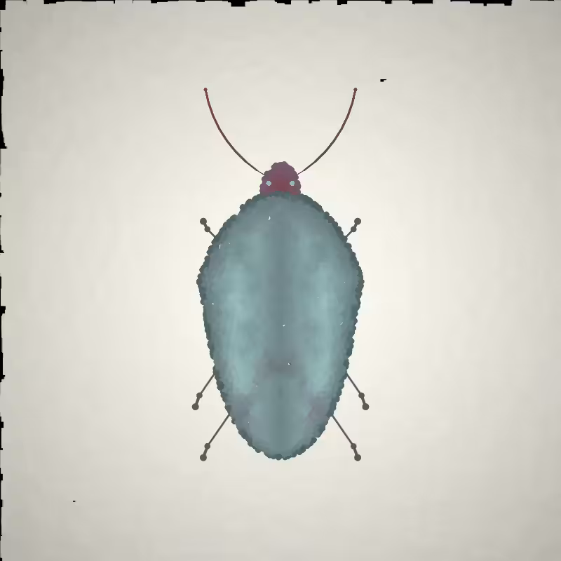 Beetle Sketches #19
