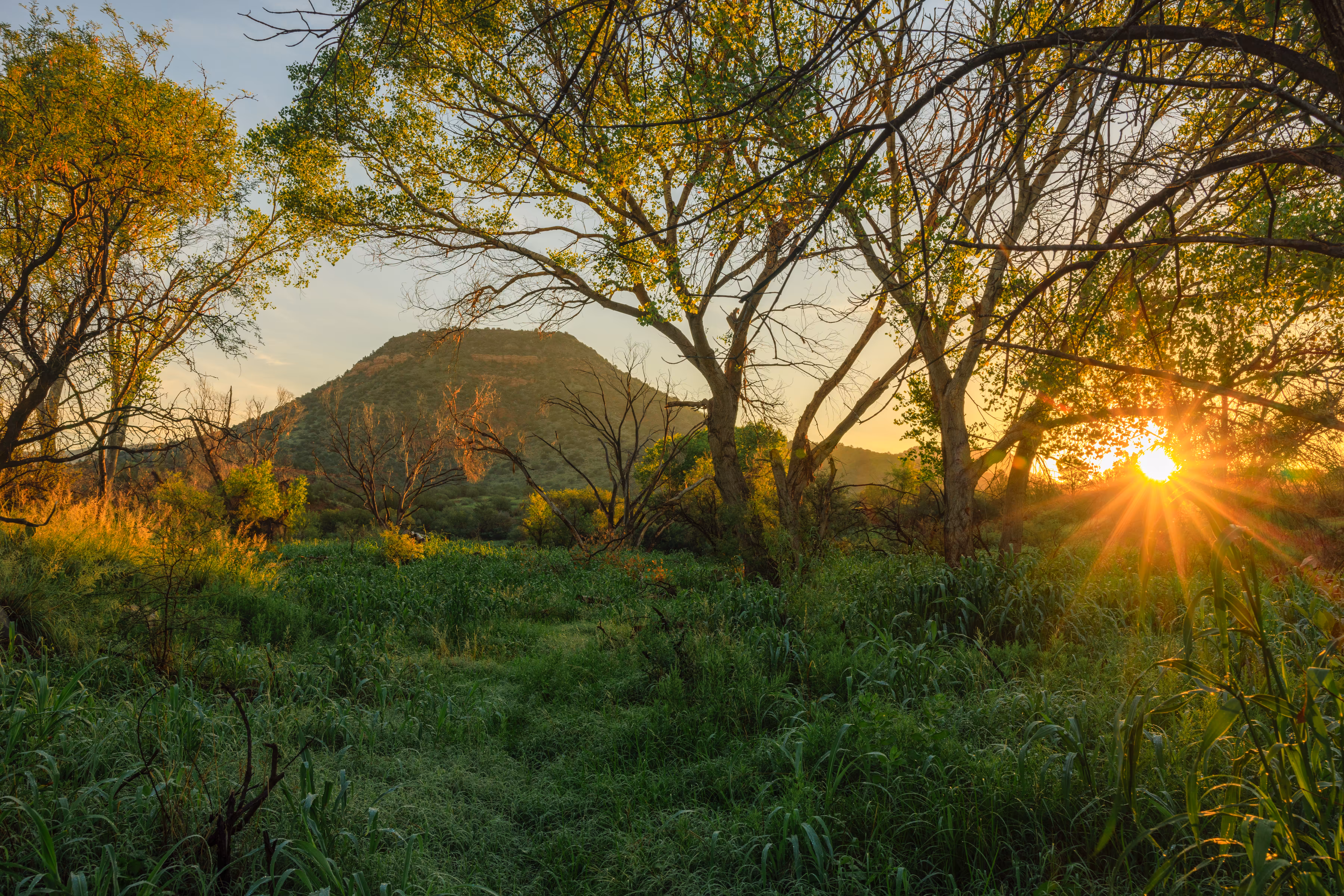 Wild Horse Mesa