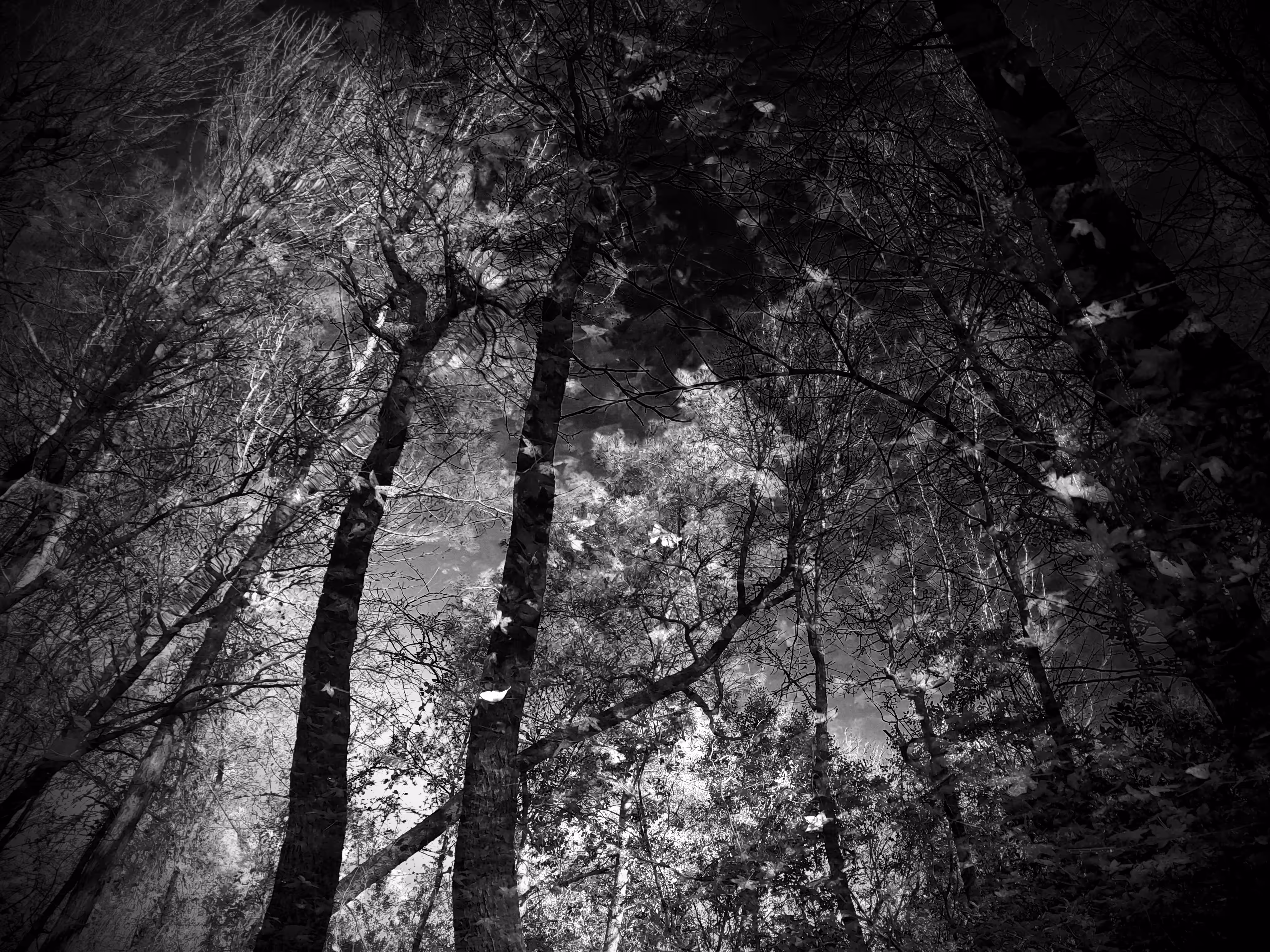 The Loom of Shadows