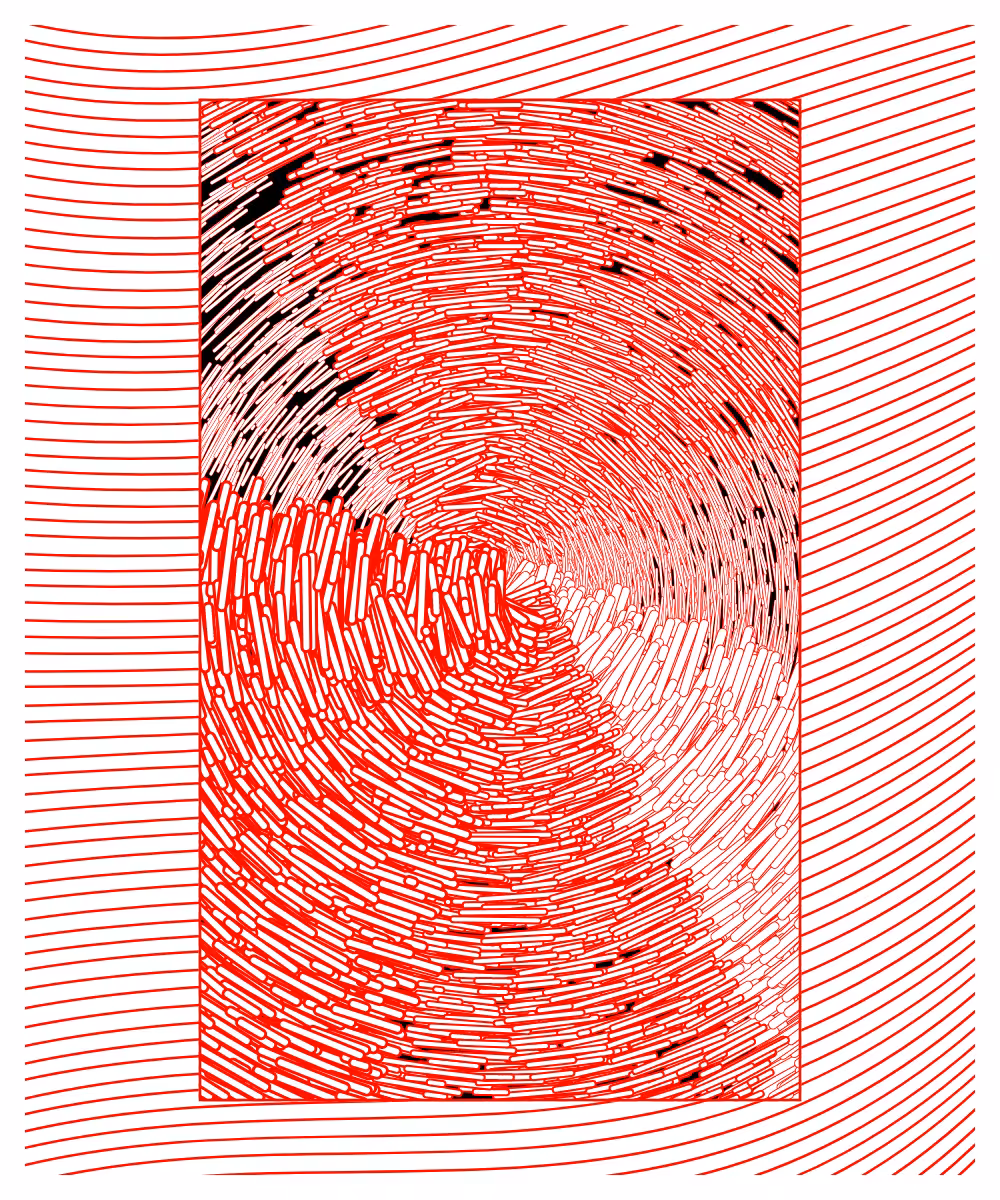 Daily experiments 08.02.2024 #13