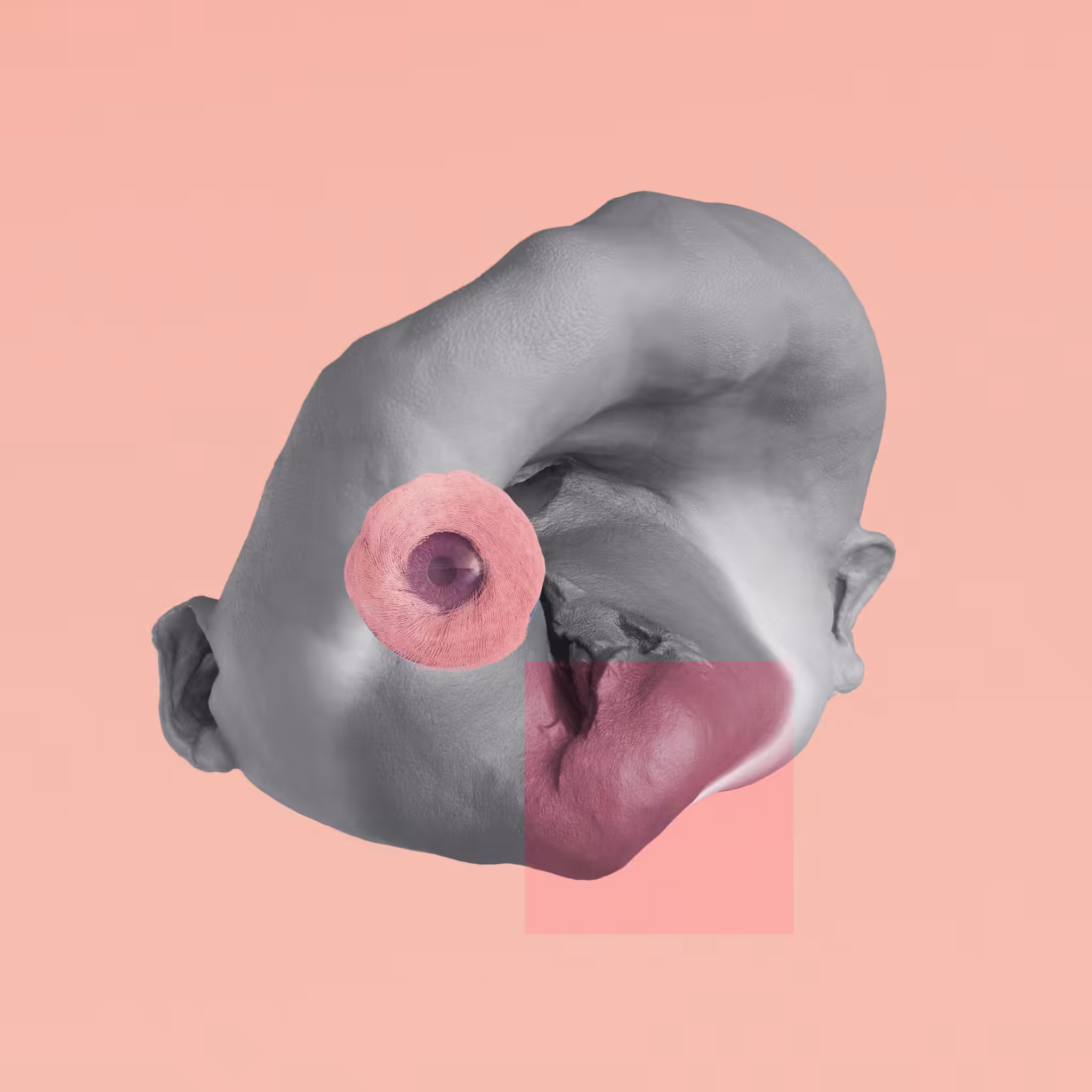 DEGEN #037