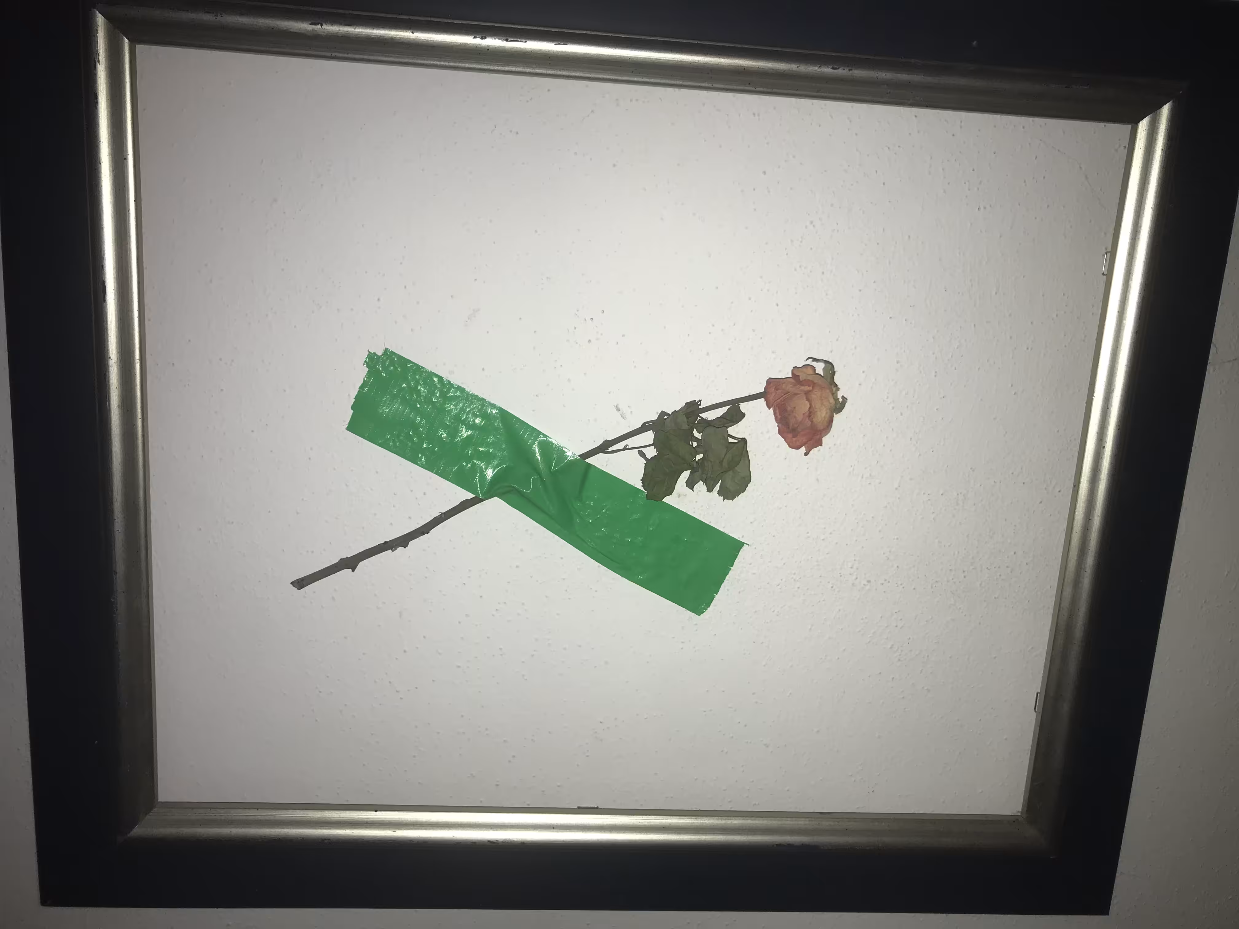 Banana and roses 