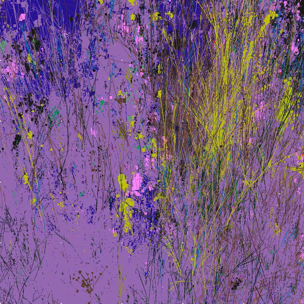 Infinite Garden: 216096 Flowers