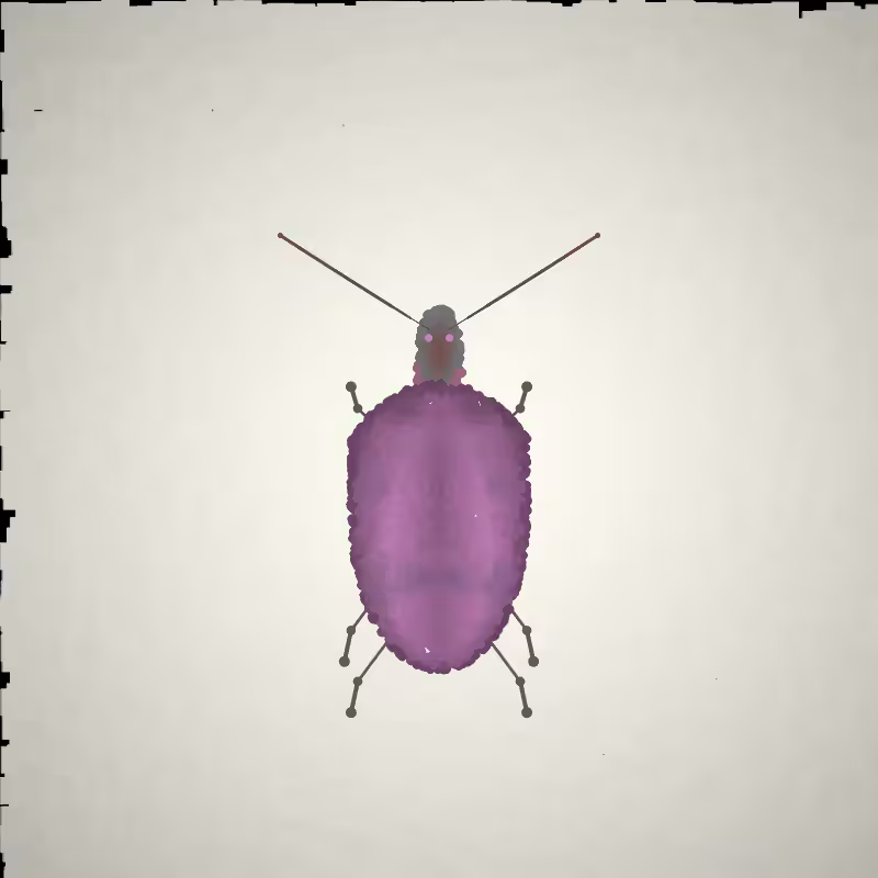 Beetle Sketches #5