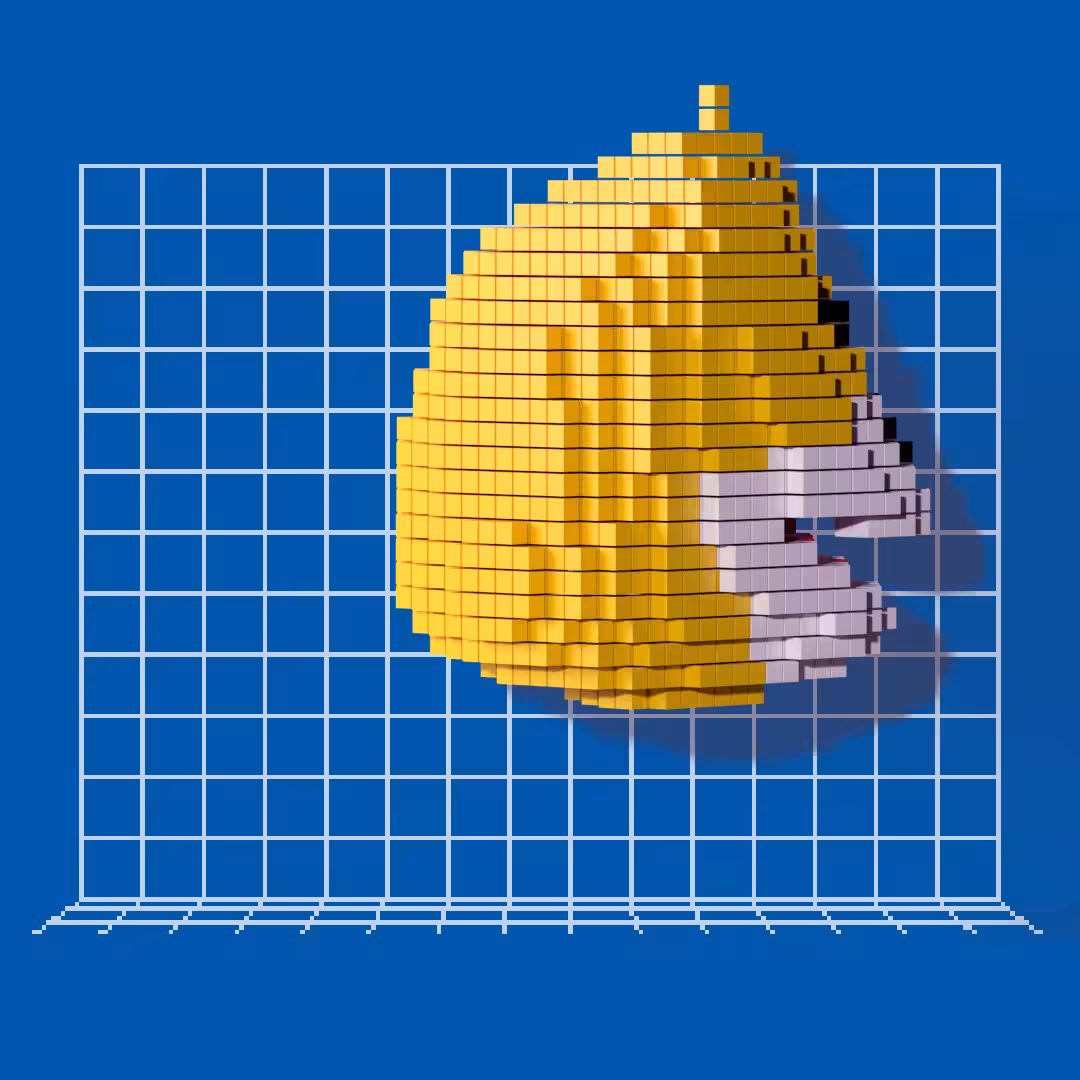 Voxel Eric 21