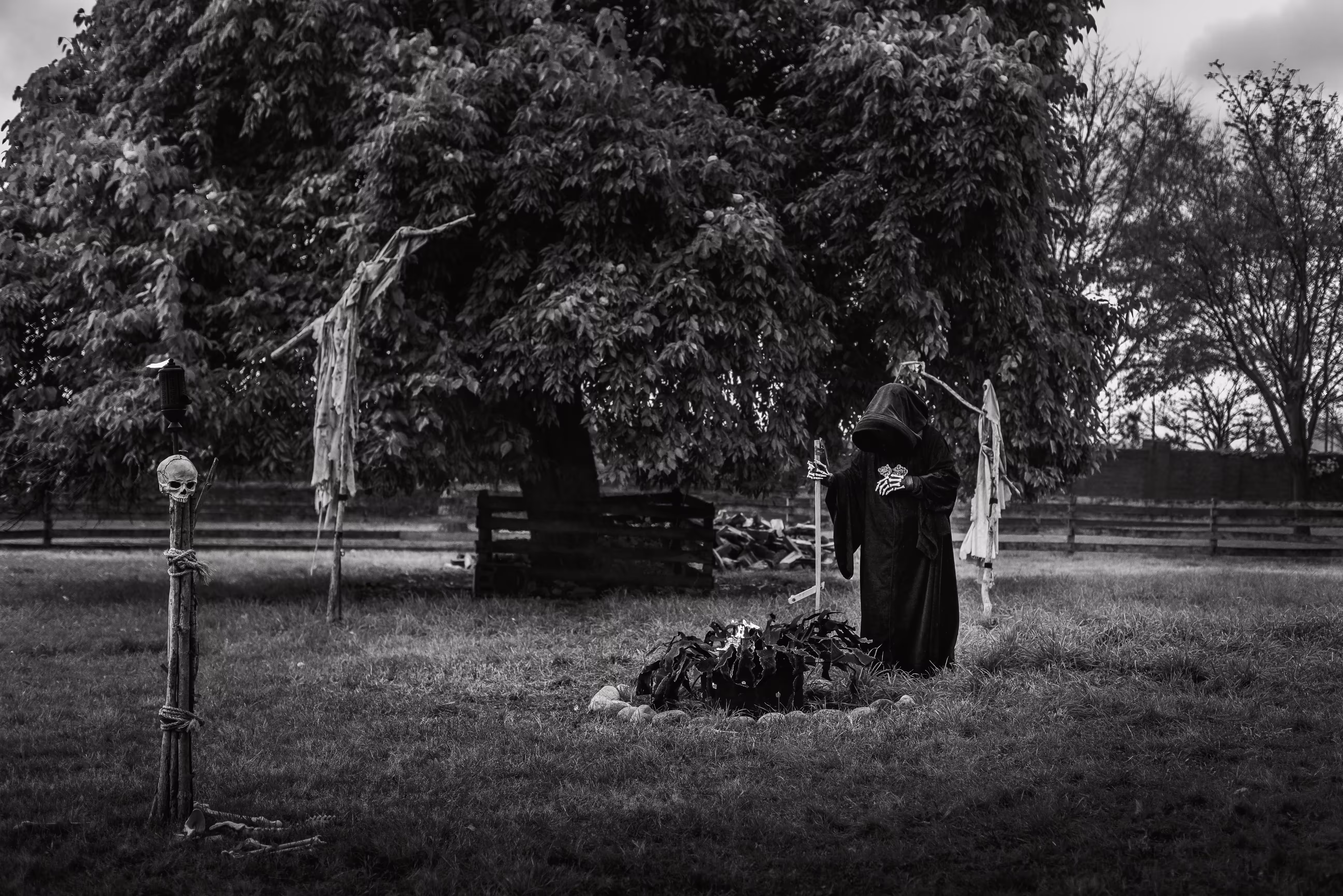 Halloween Nights: DEATH Ignores You