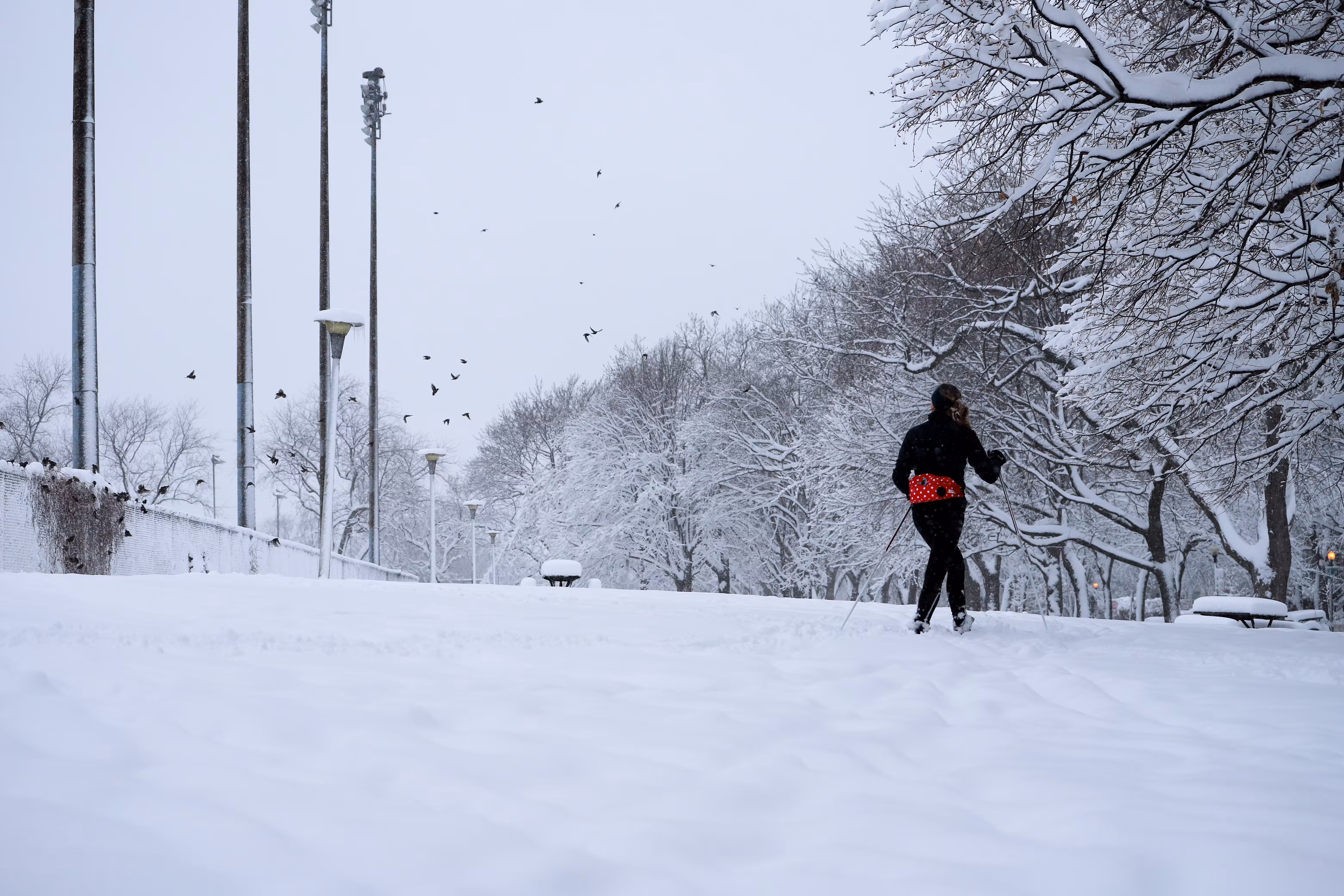 Winter Vibes #5