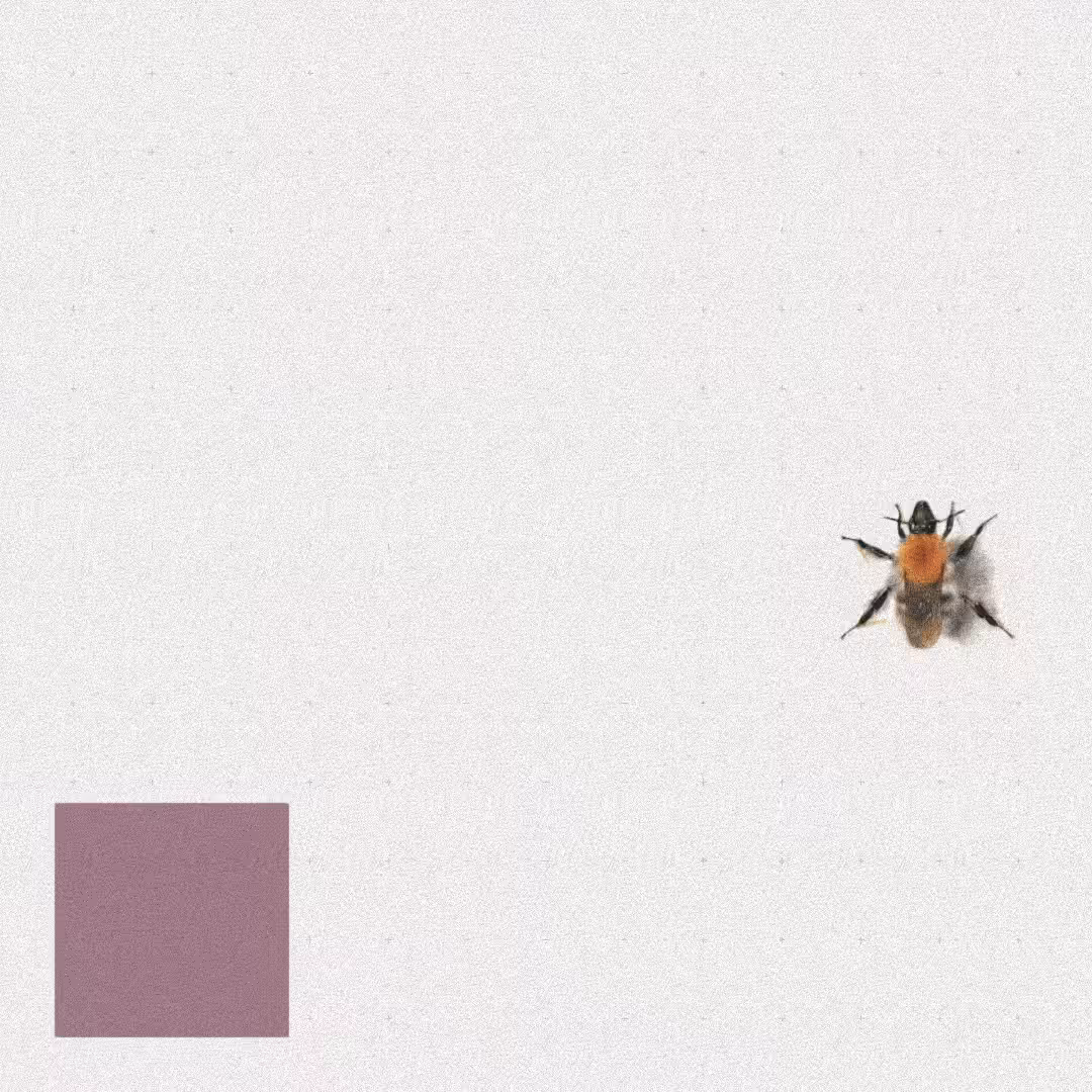 Bee #23