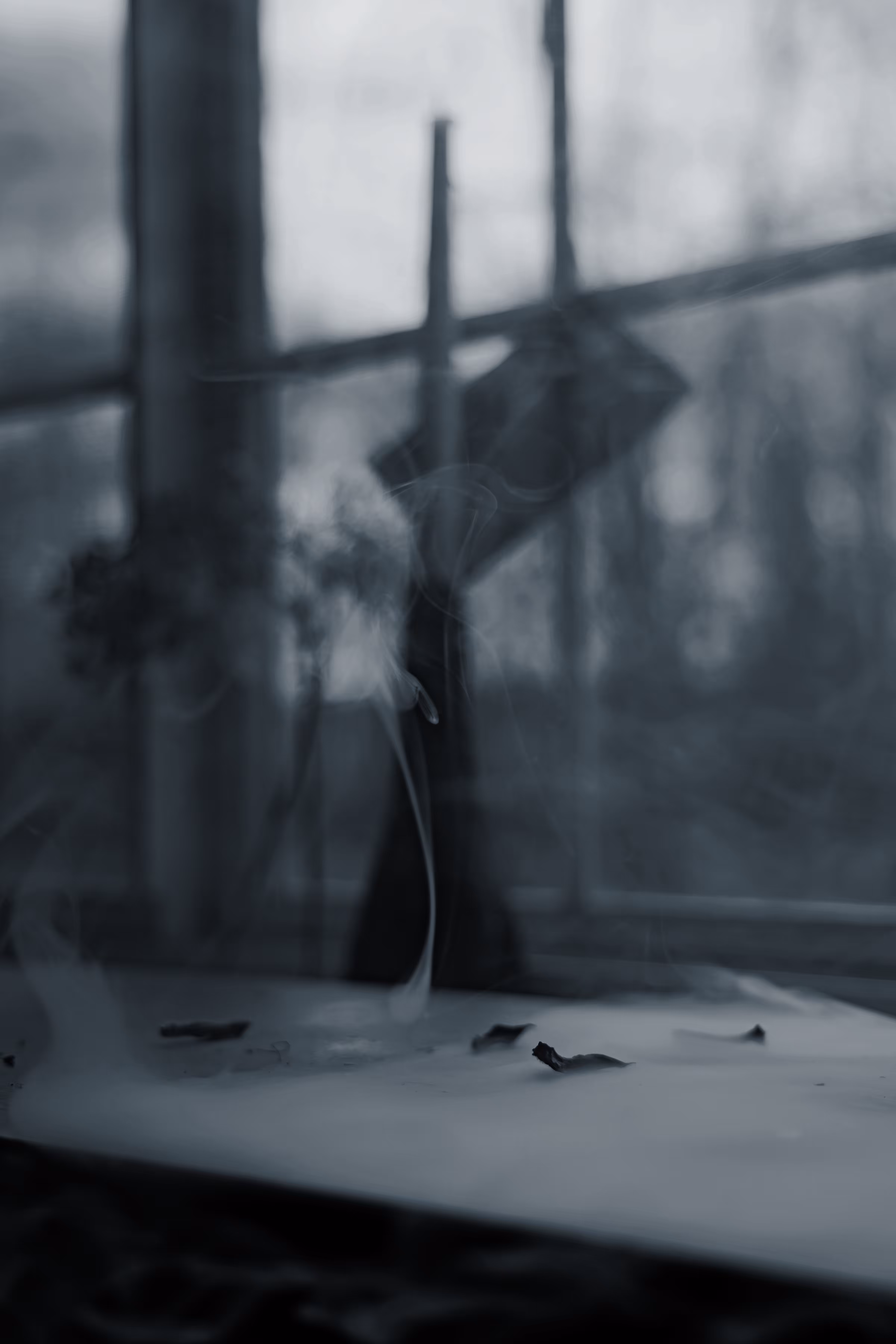 _new dawn