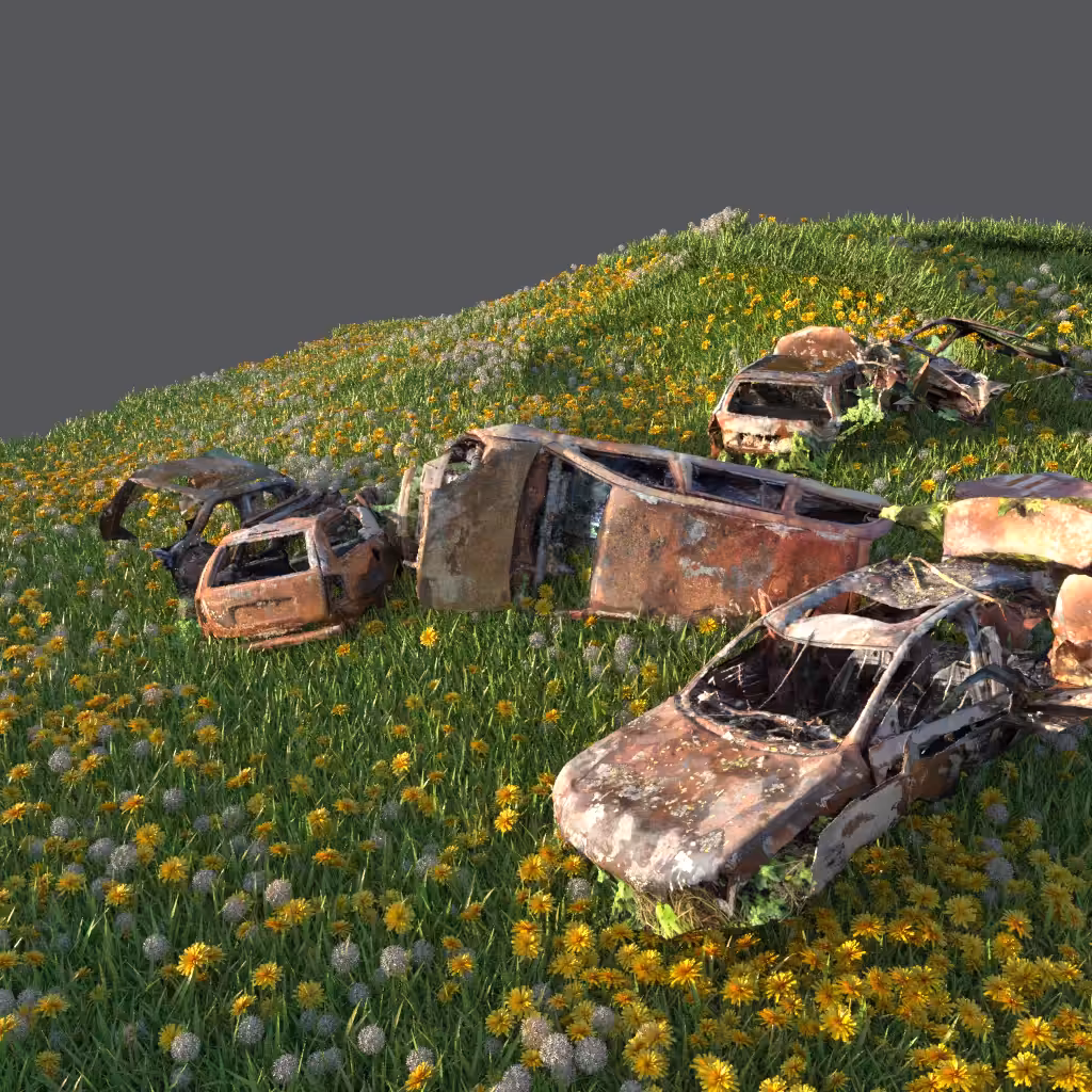 We had a new car, but it burned down...
