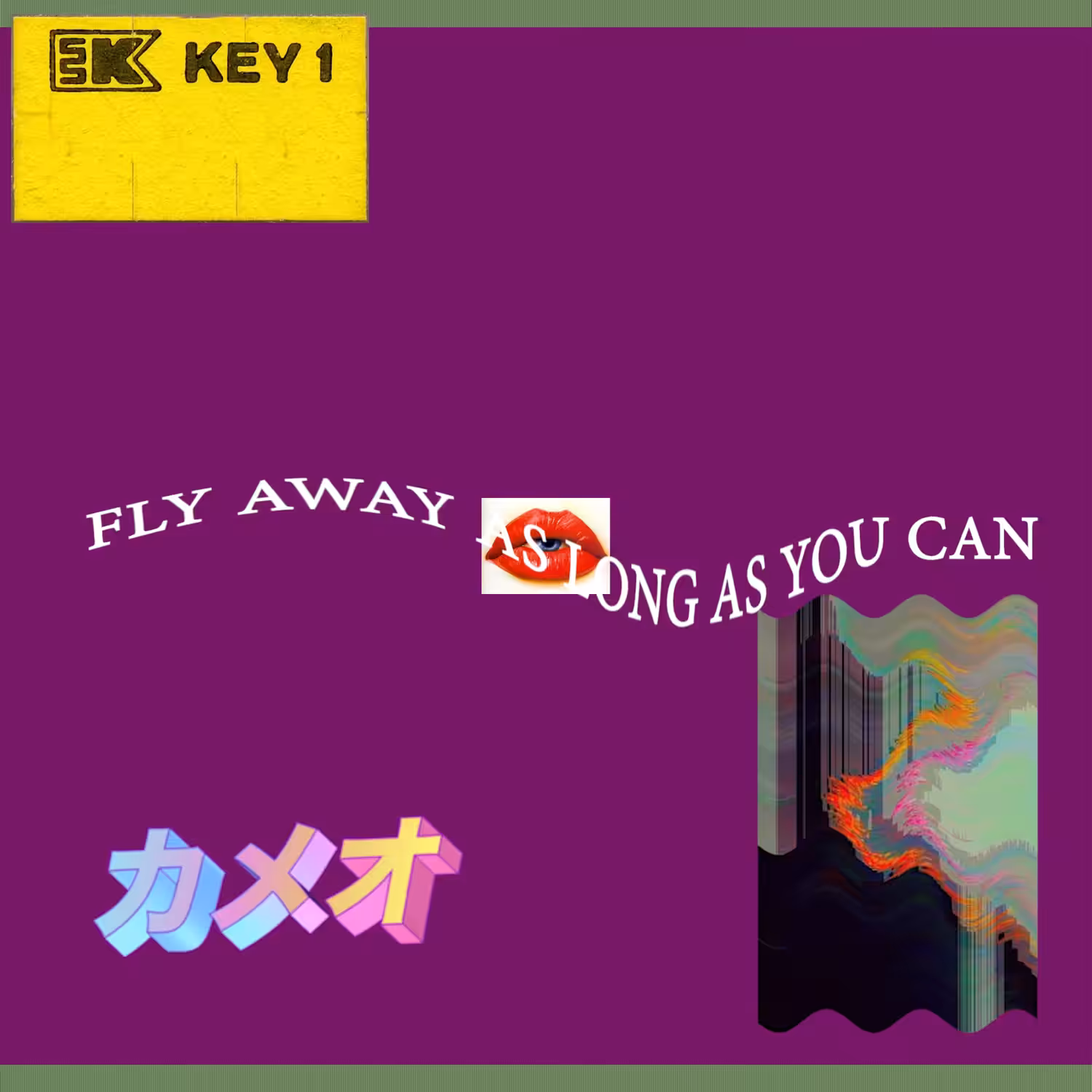 Fly away as long as you can (VHS)