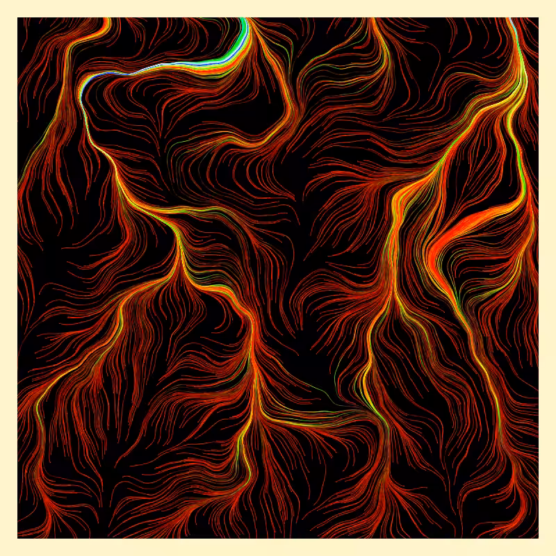 Roots #5