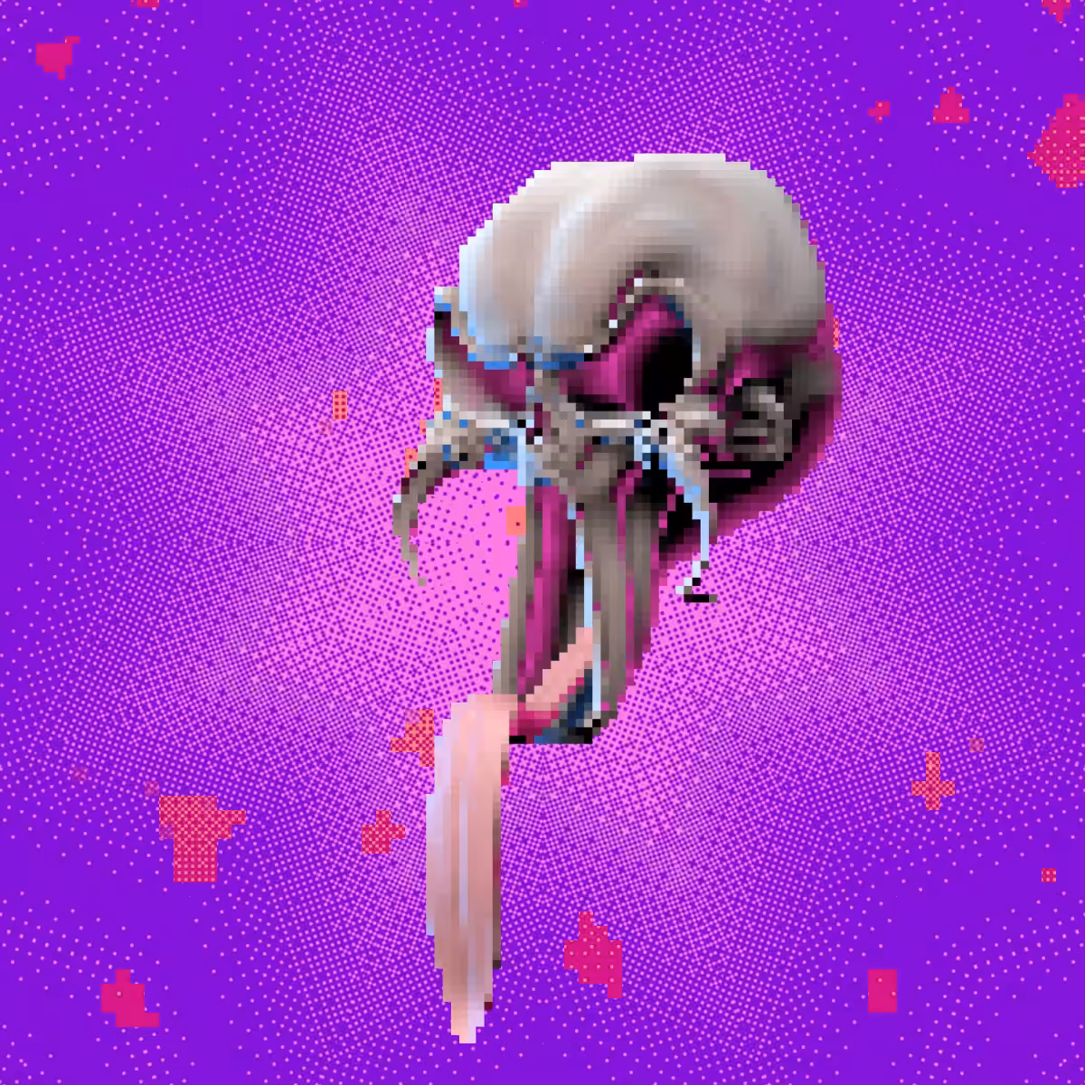 3D_VIRUS_D34DL1CK3R