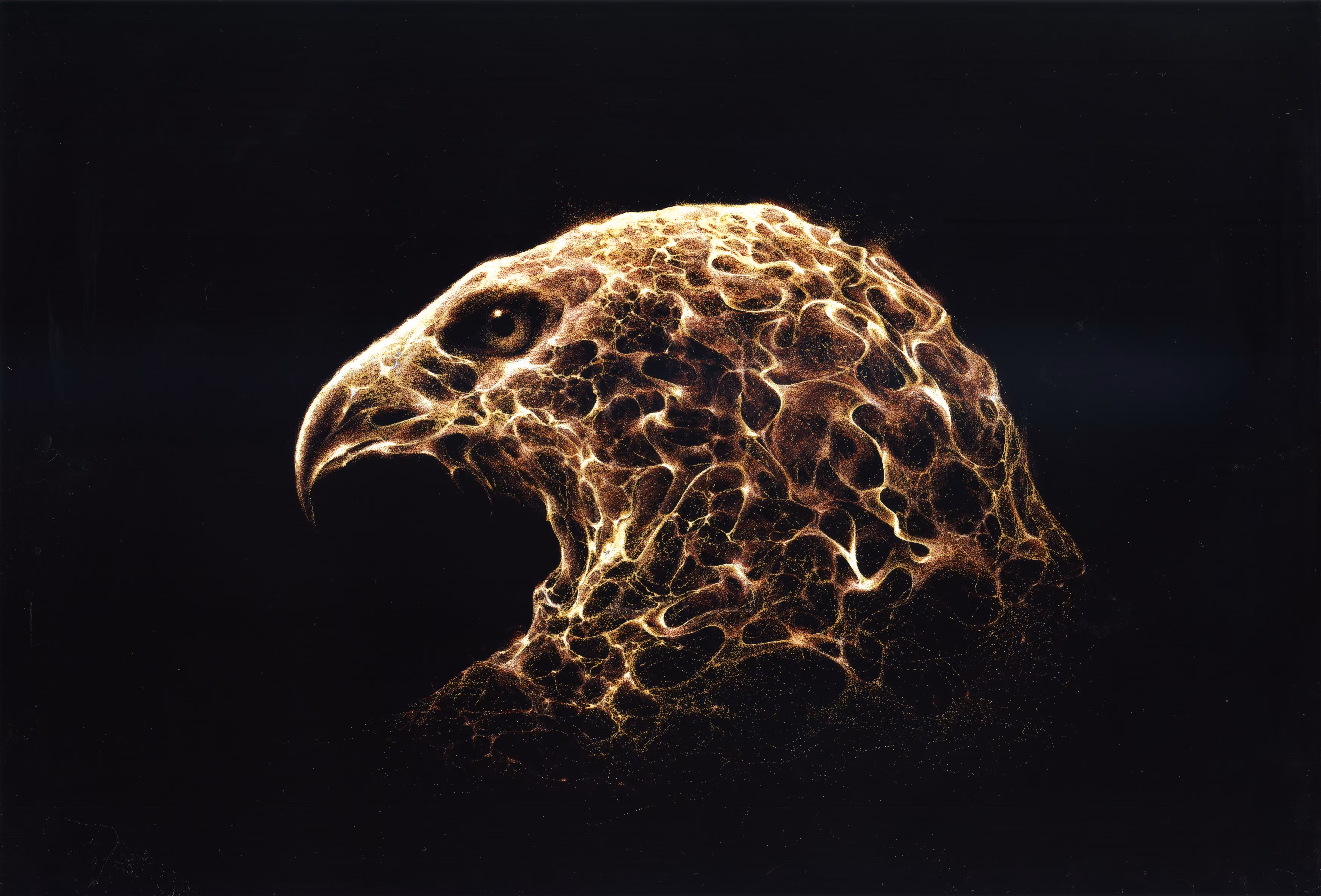 Eagle