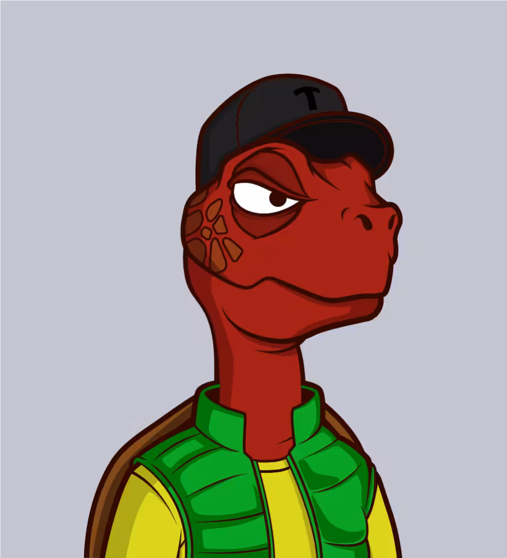 Tiny Turtle 29