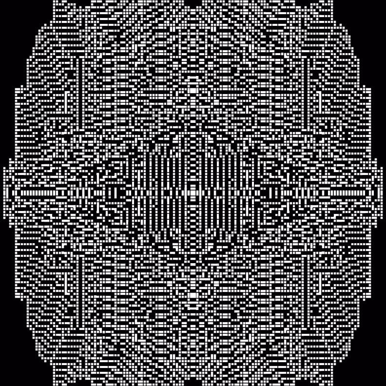 Cellular Canvas #401