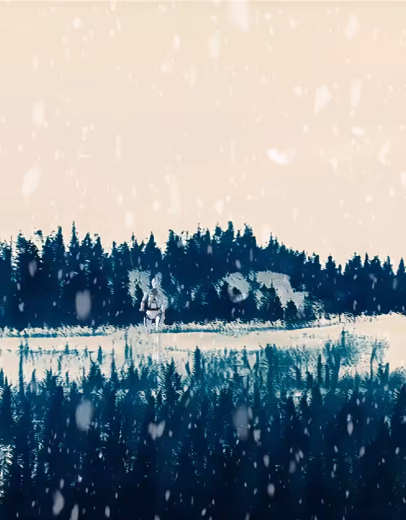 Unknown