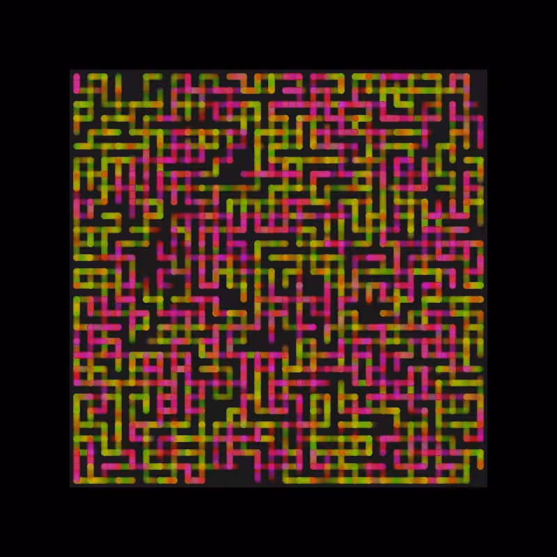 maze #41