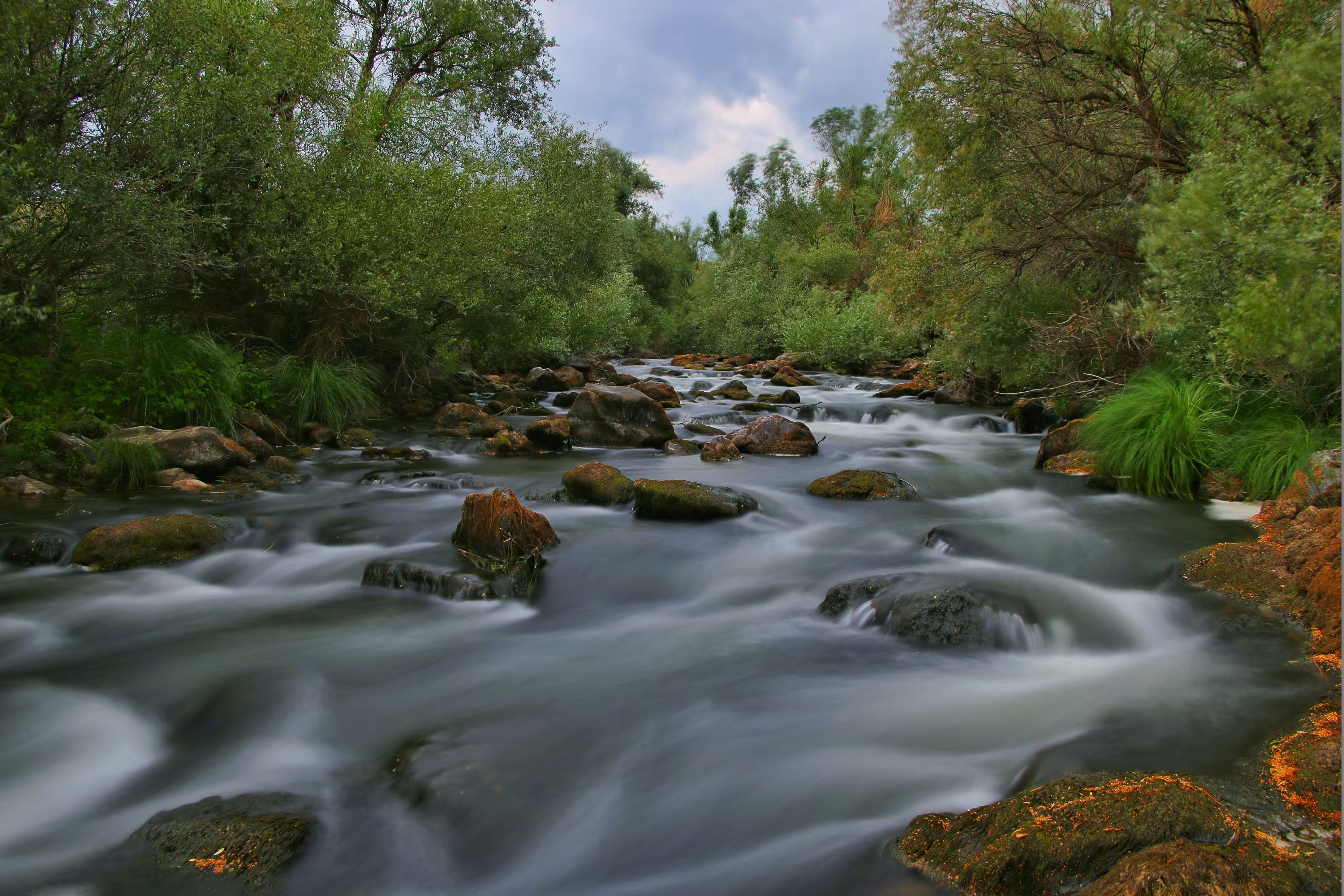 Stream