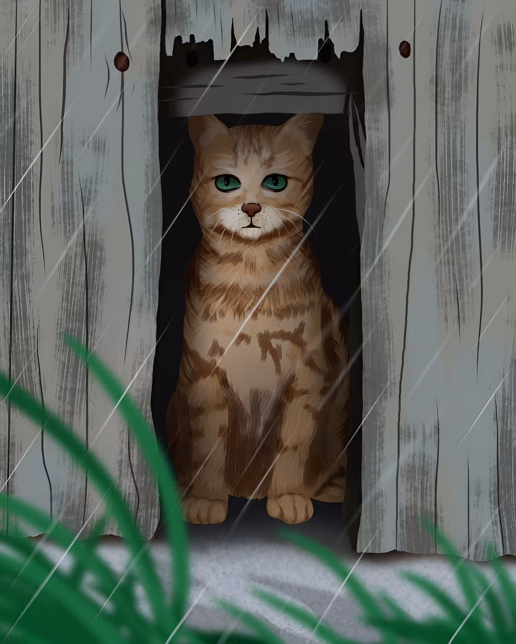 A Rainy Day For A Cat