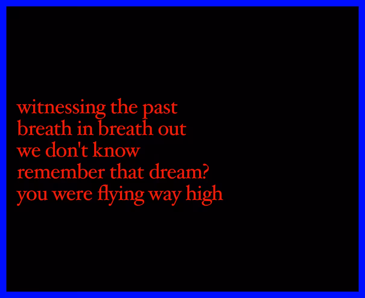 witnessing the past