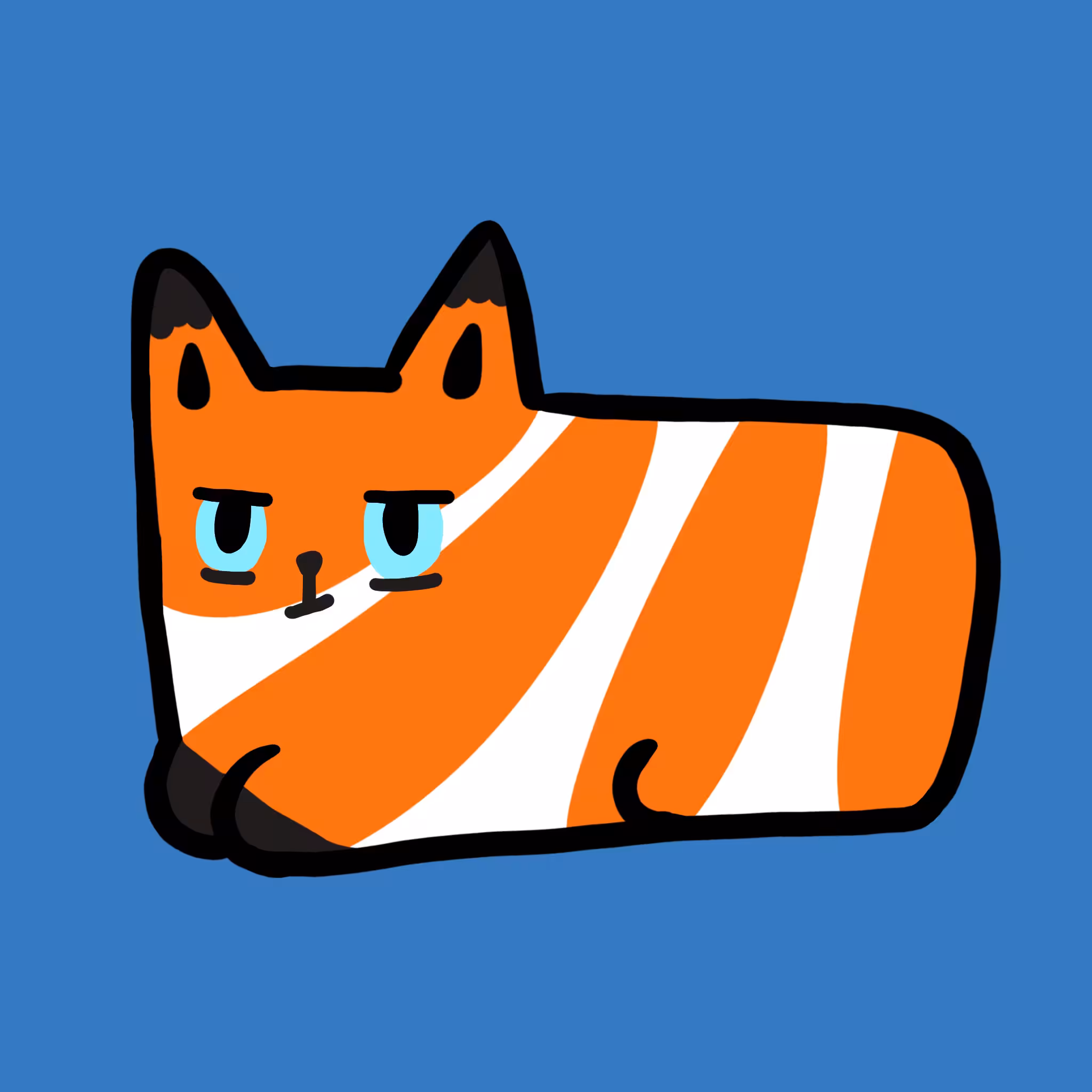 Sunny Cat 40