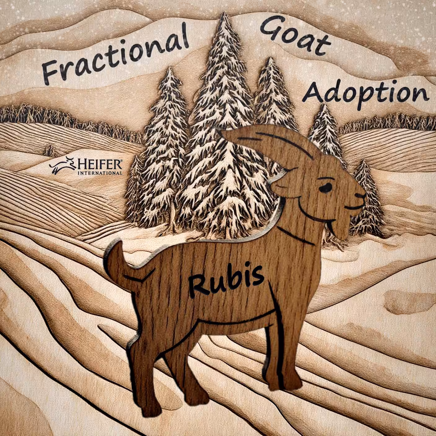 Rubis'  Fractional Goat