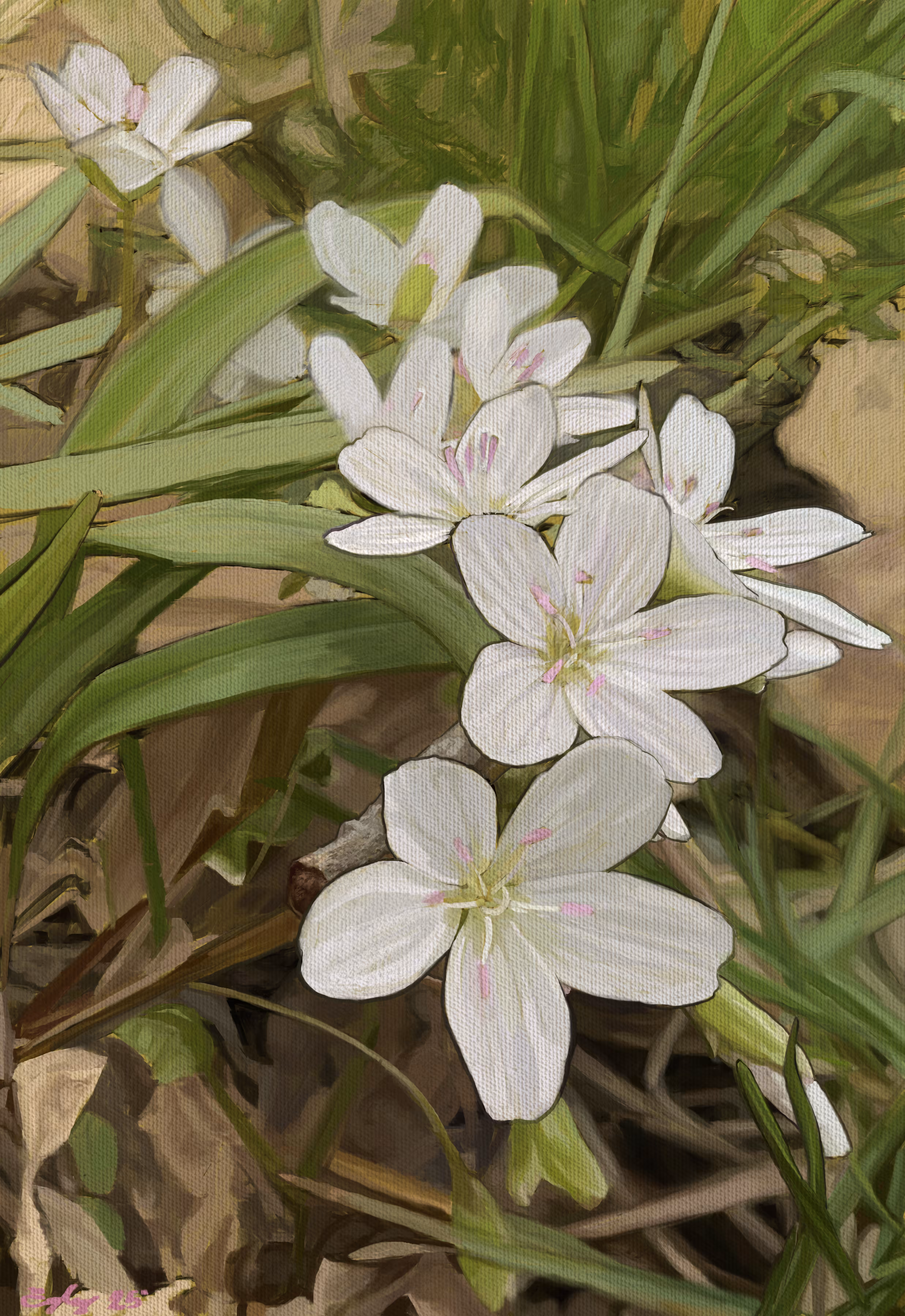 May Flowers