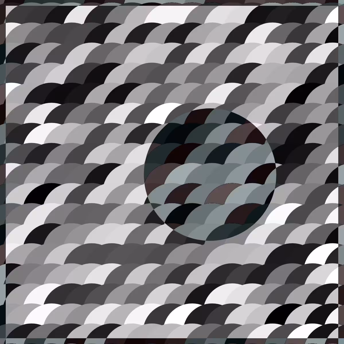 Magnify #43