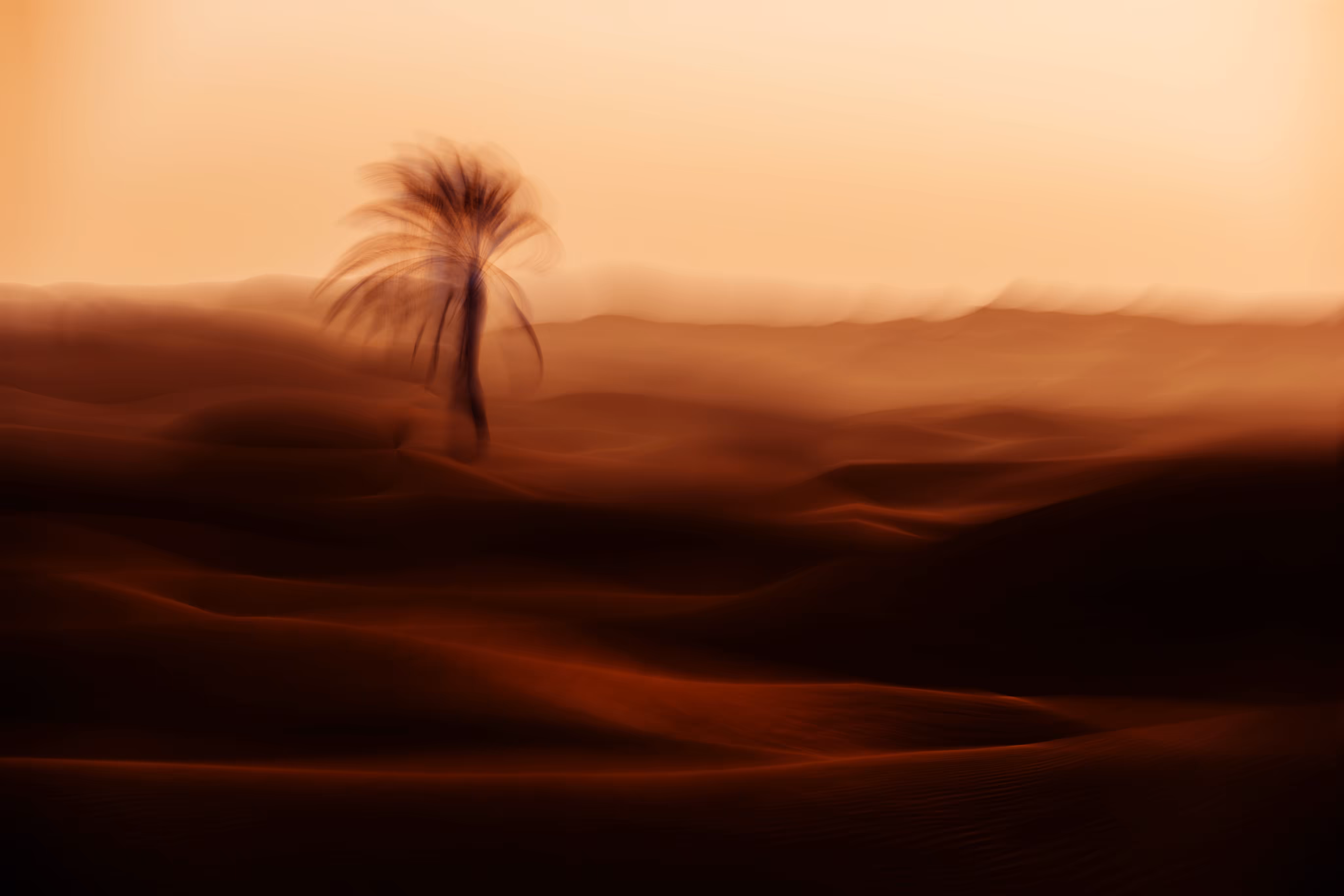 Red Dream