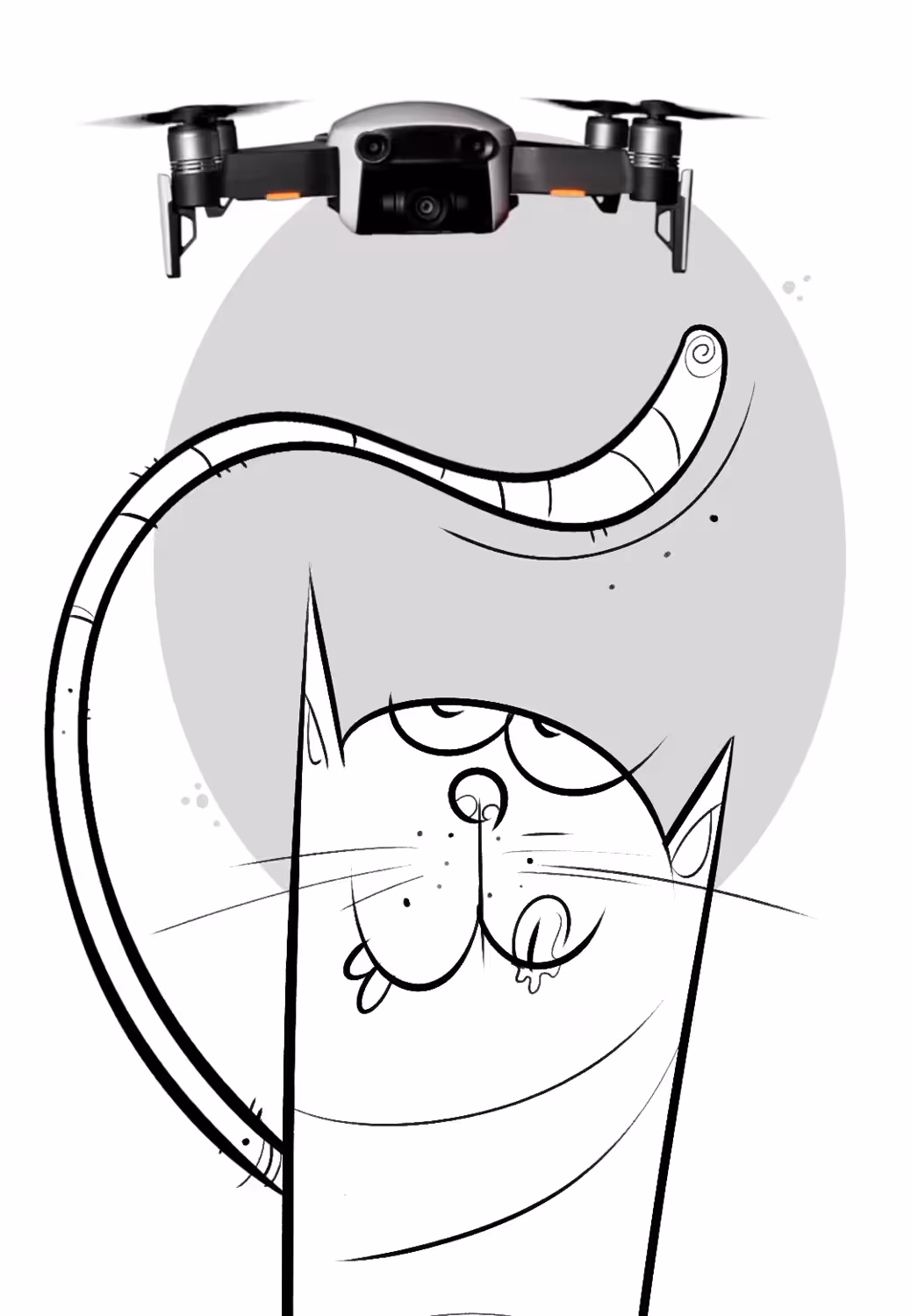 Gluttonous Cat