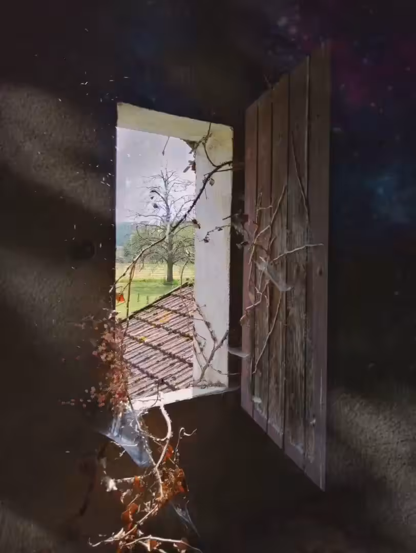 'anywhere...' (video edition)