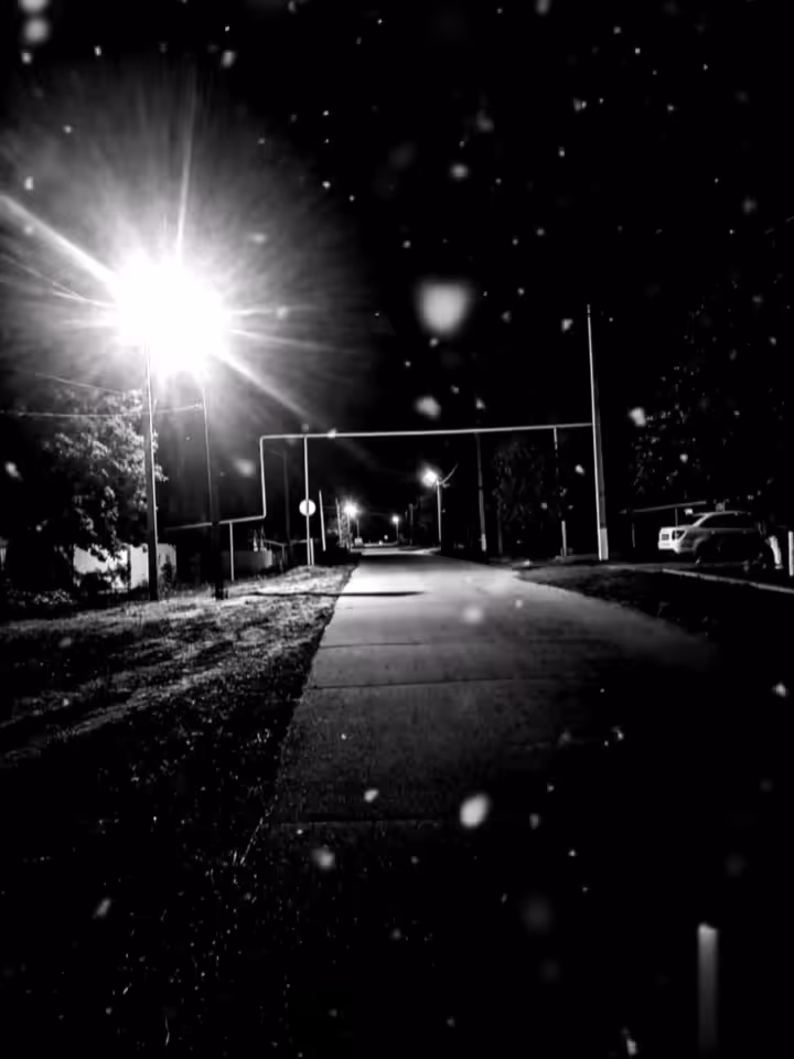 The first snow