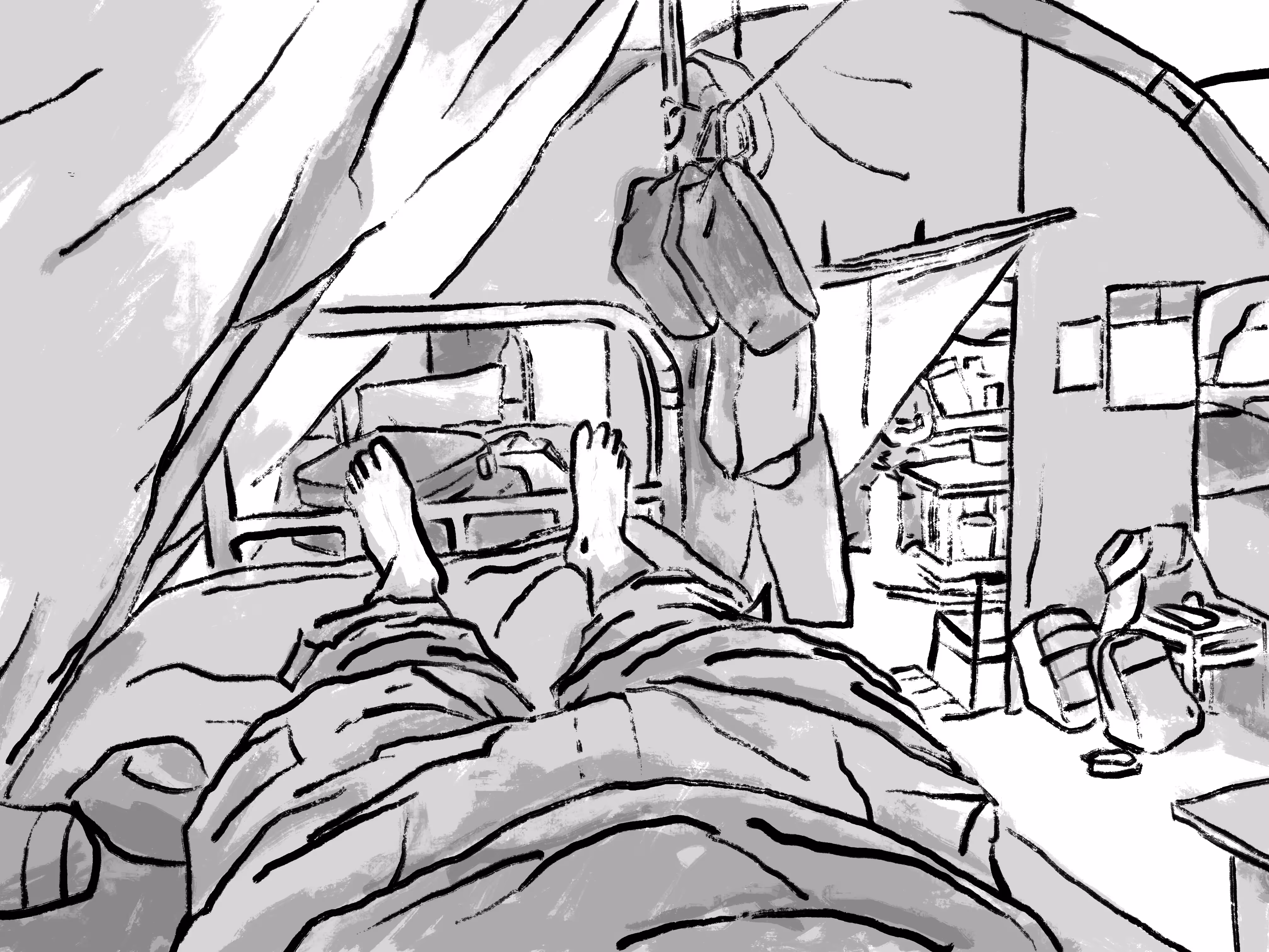 My nest