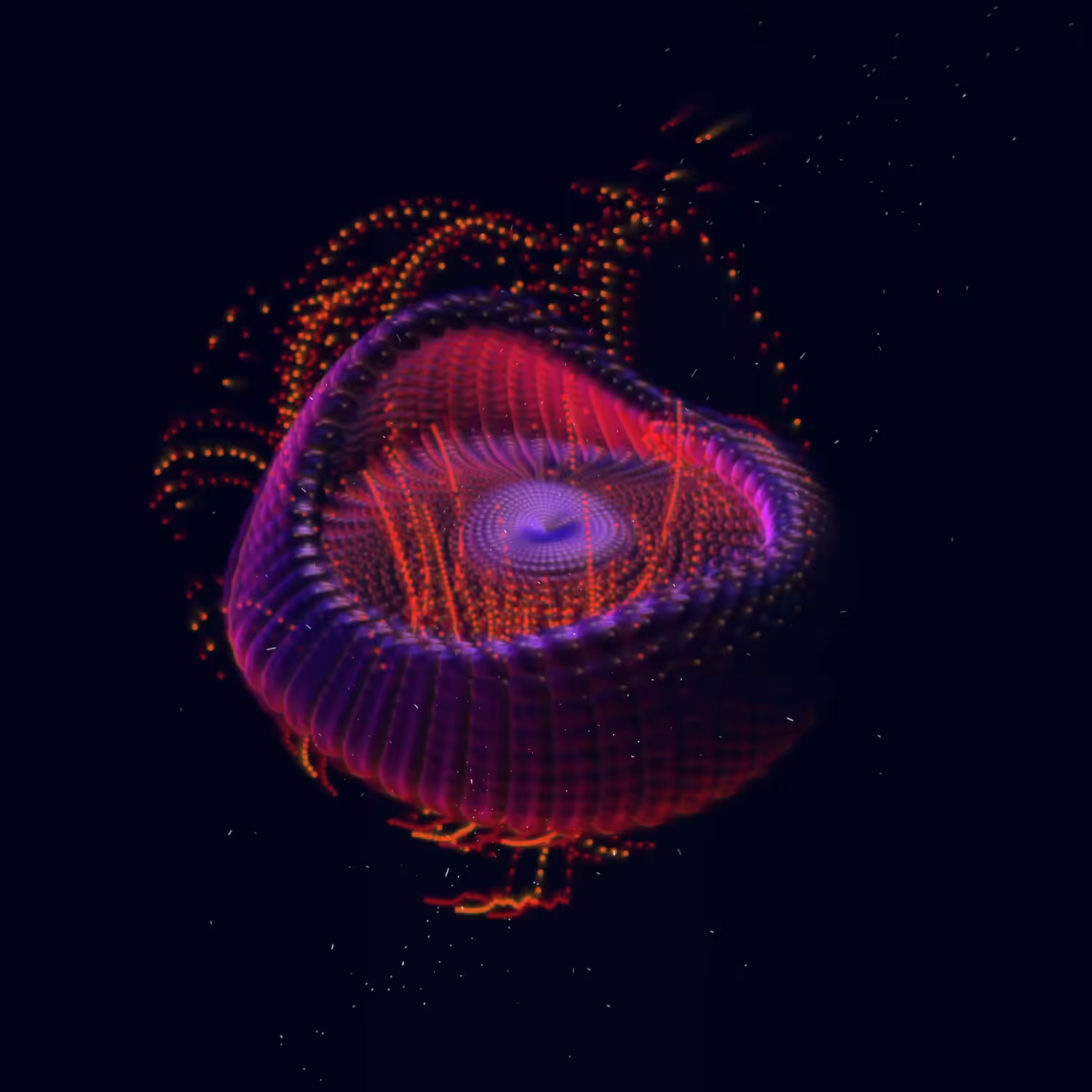 Jellyfish 1221 (2024)  