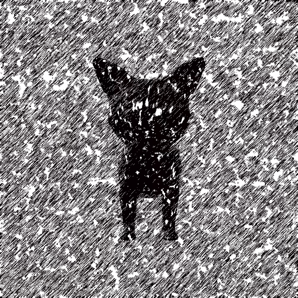 Lost Cat In A Rainy Day