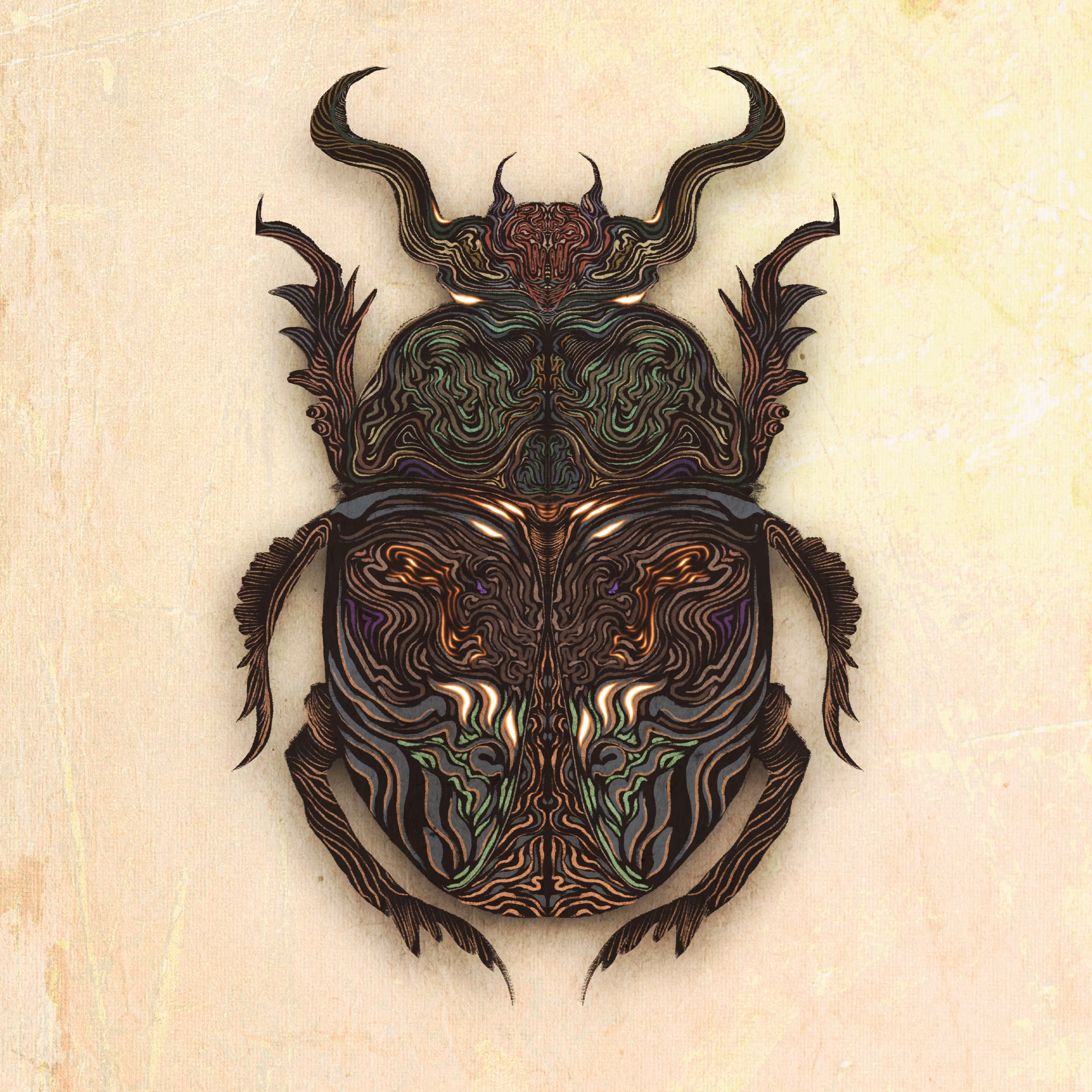 geotrupes 