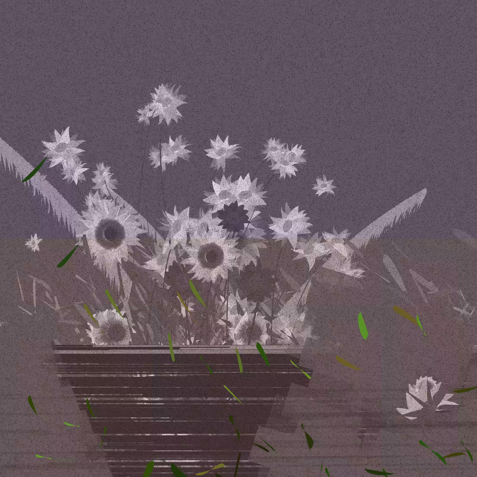 Wildflowers