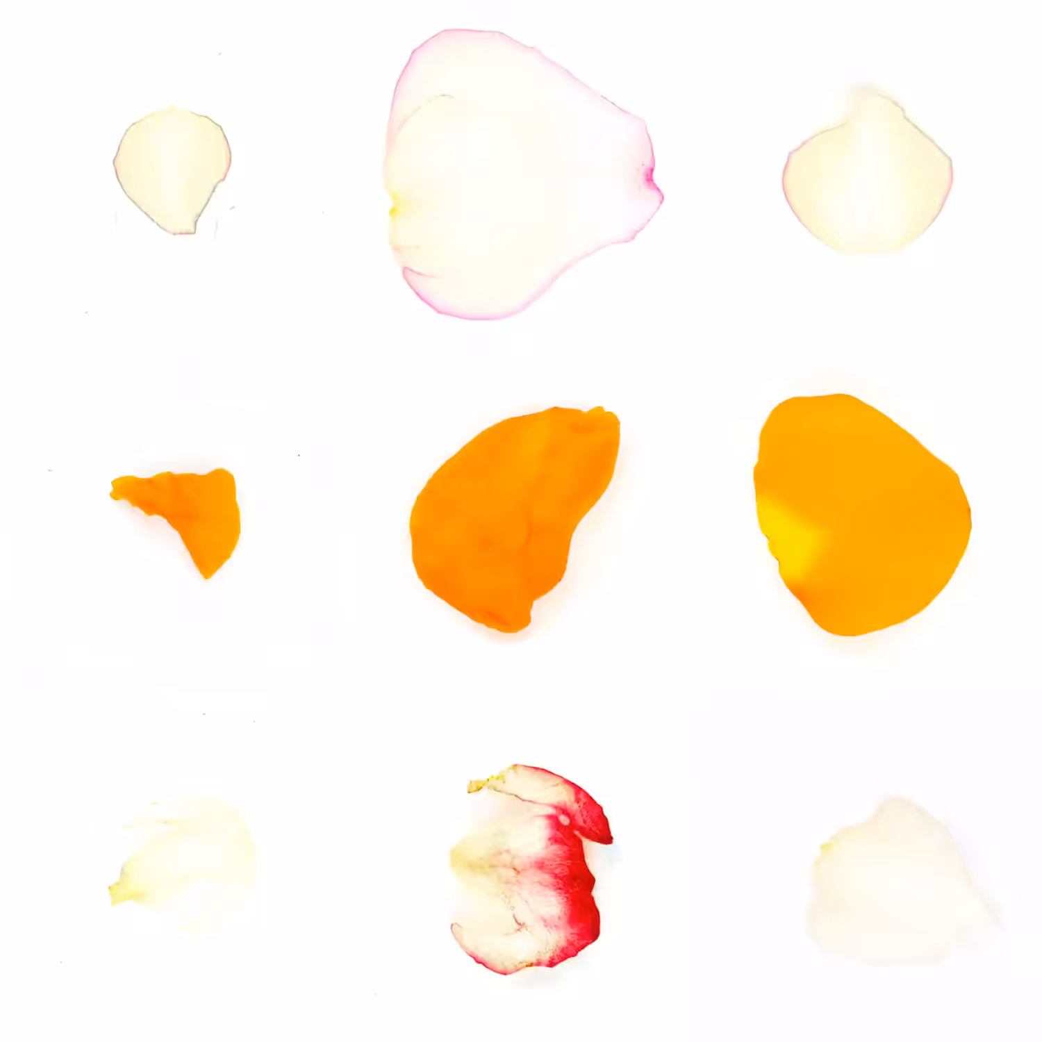 Infinite Petals 3x3#742