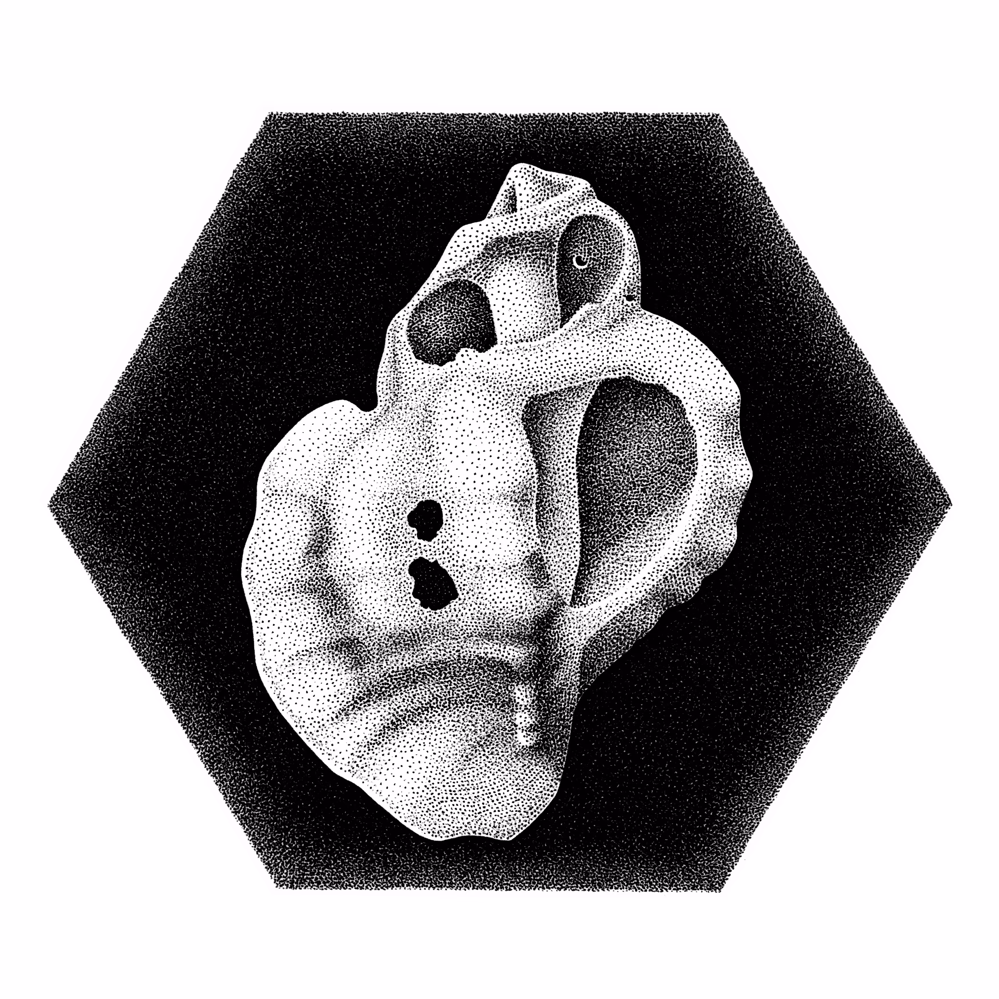 broken_shell_3