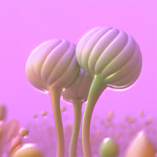 Dumpling Flower 01