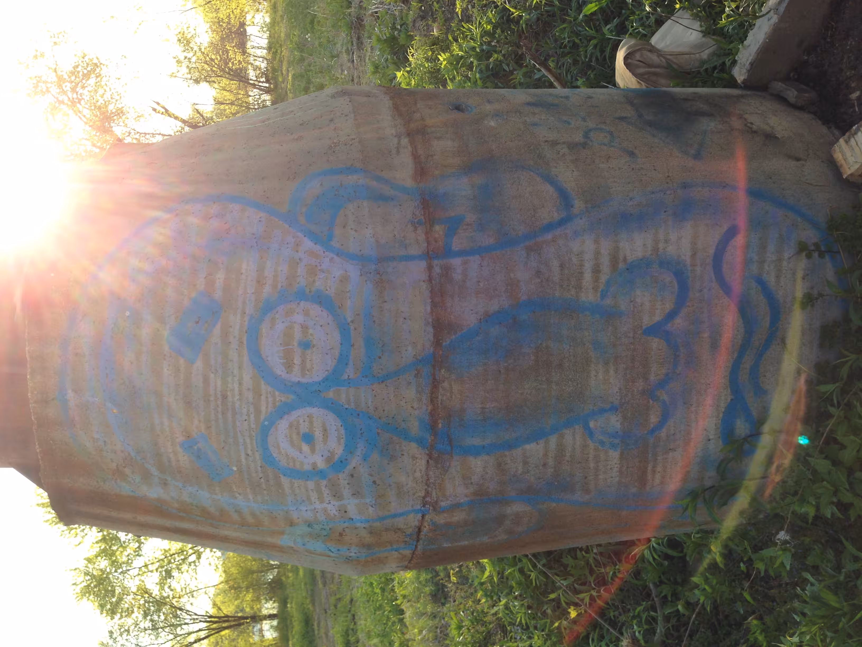 Blue Face
