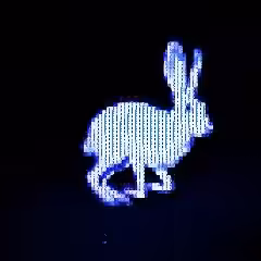 #7 - rabbit