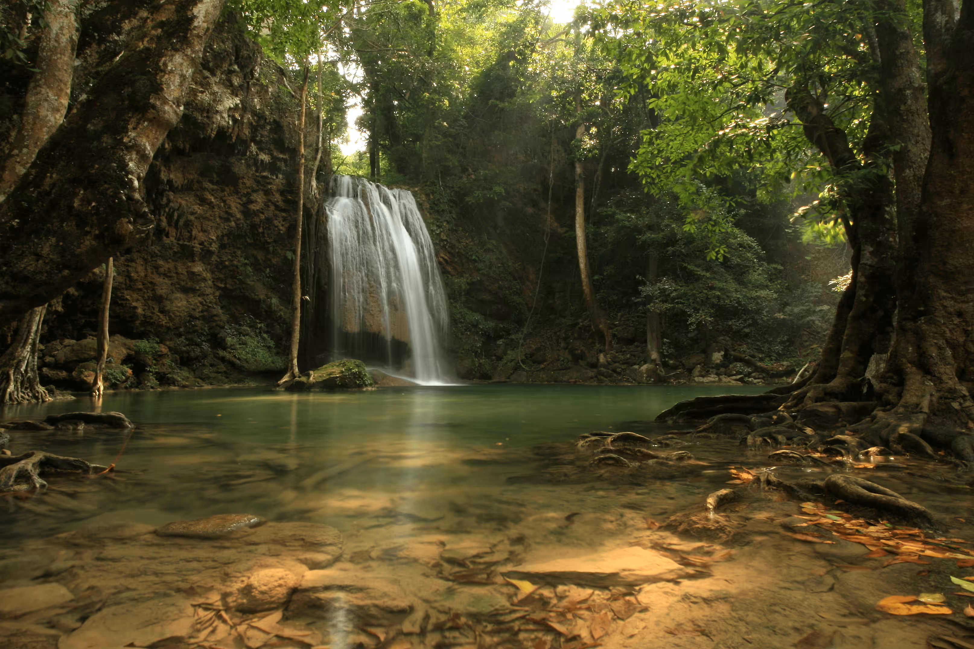 #35 - Jungle Pool