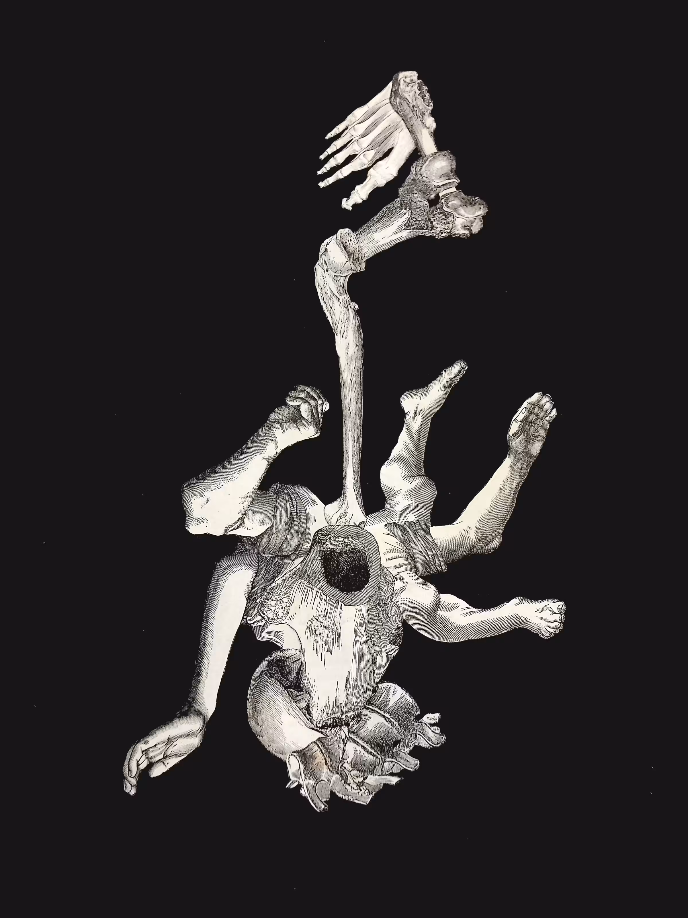 τέρας n°9