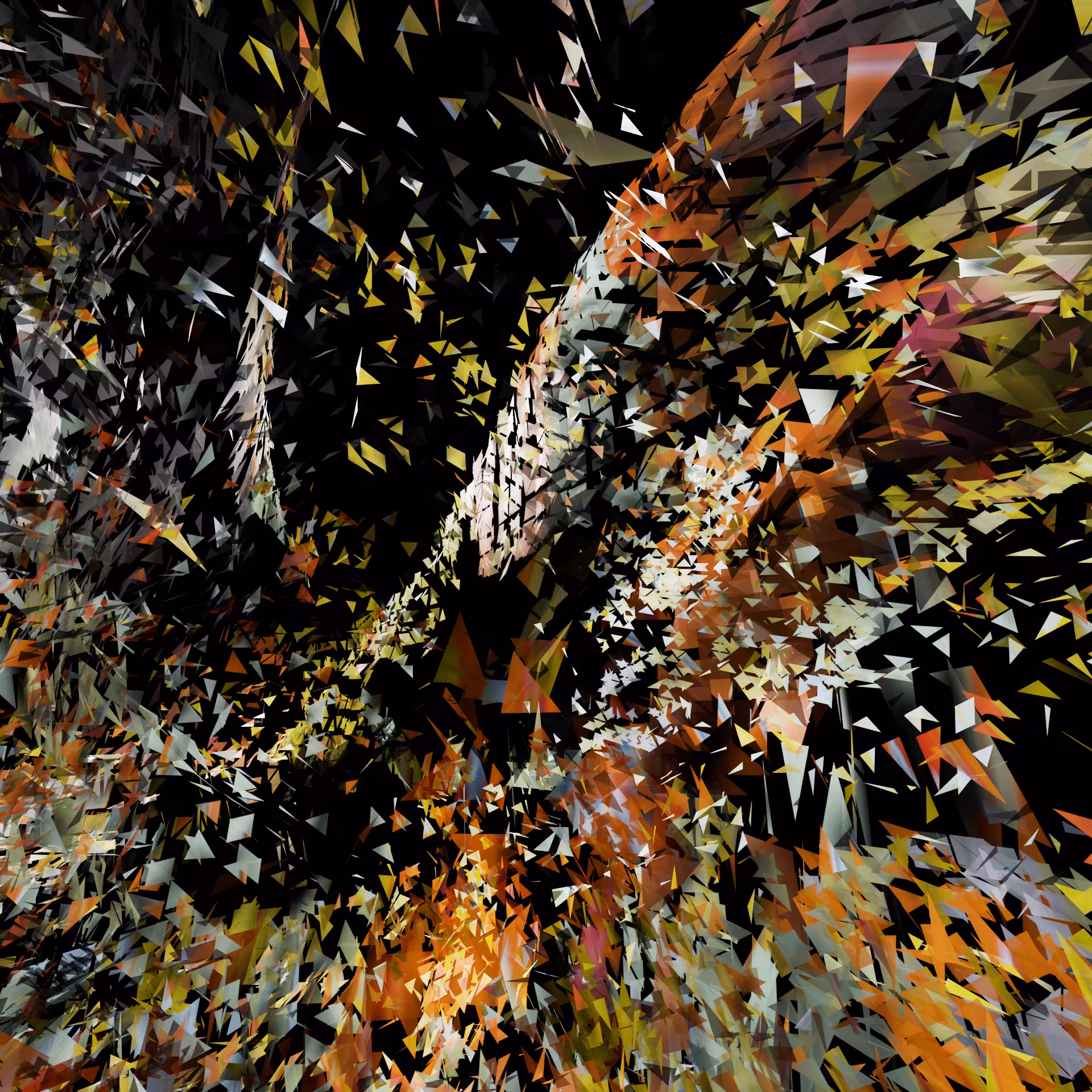 Riding the Waves of Randomness