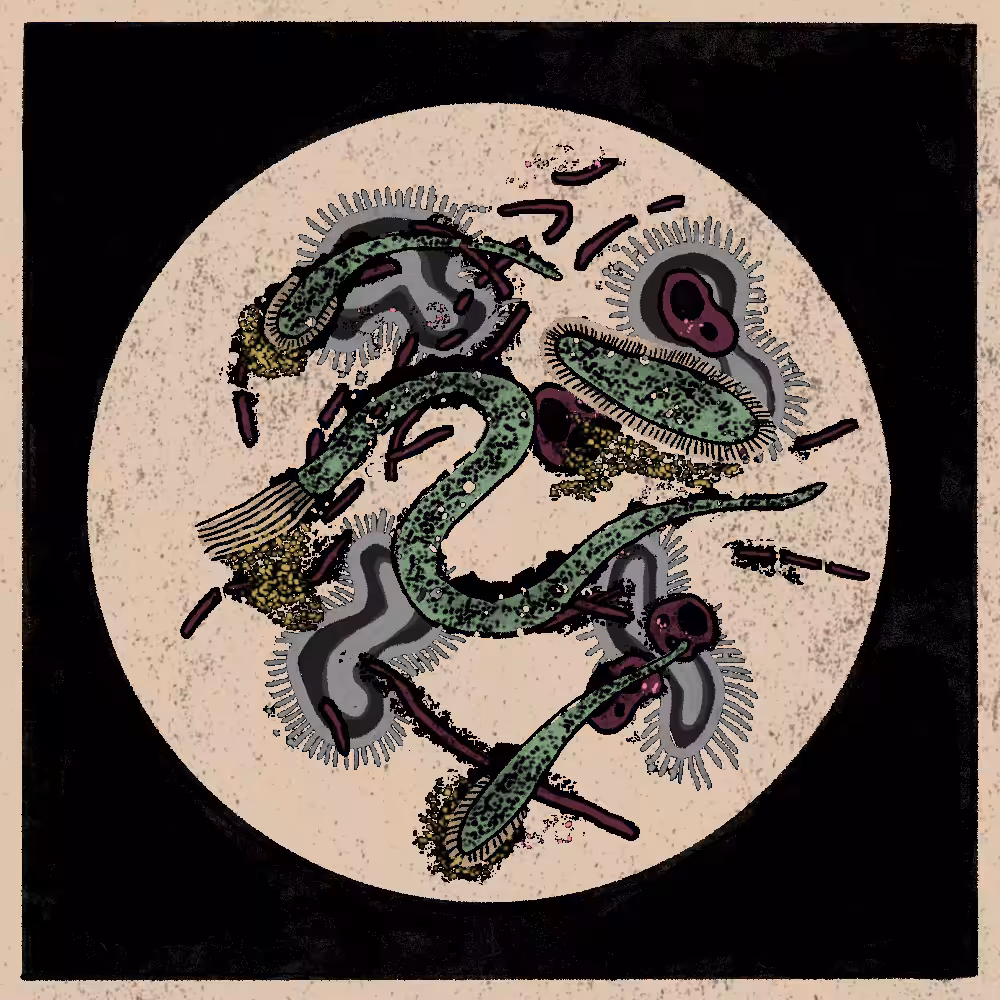 Microbes #58
