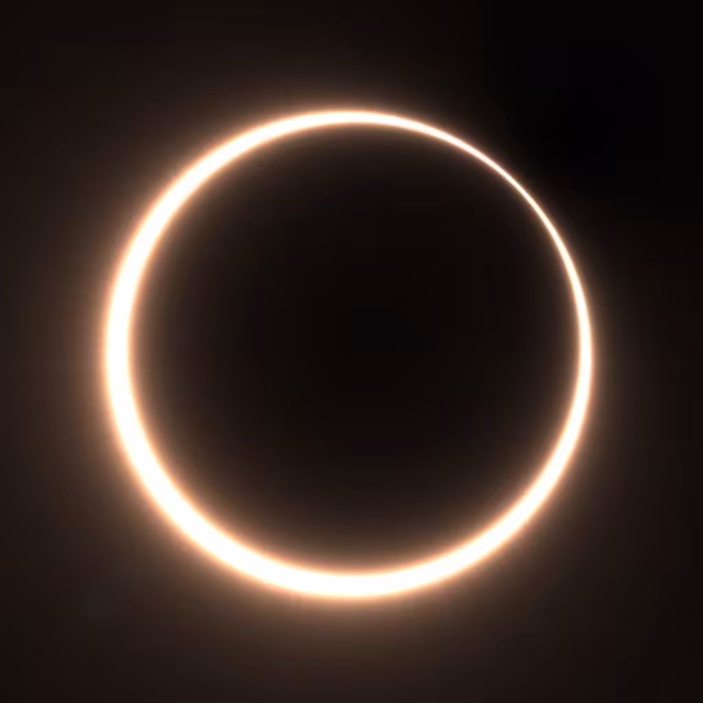 Totality #378