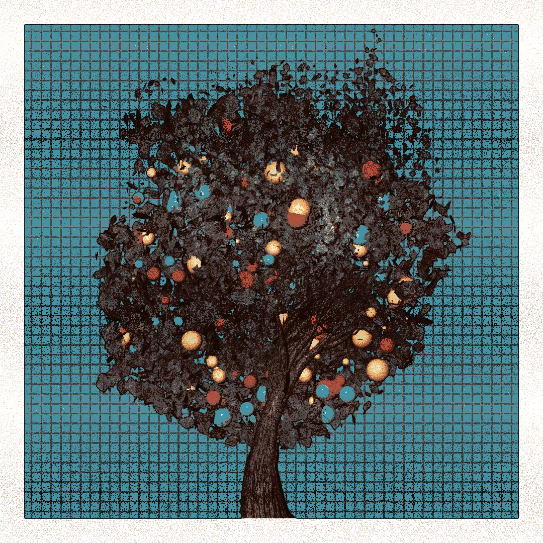 _argania[primaria] #296