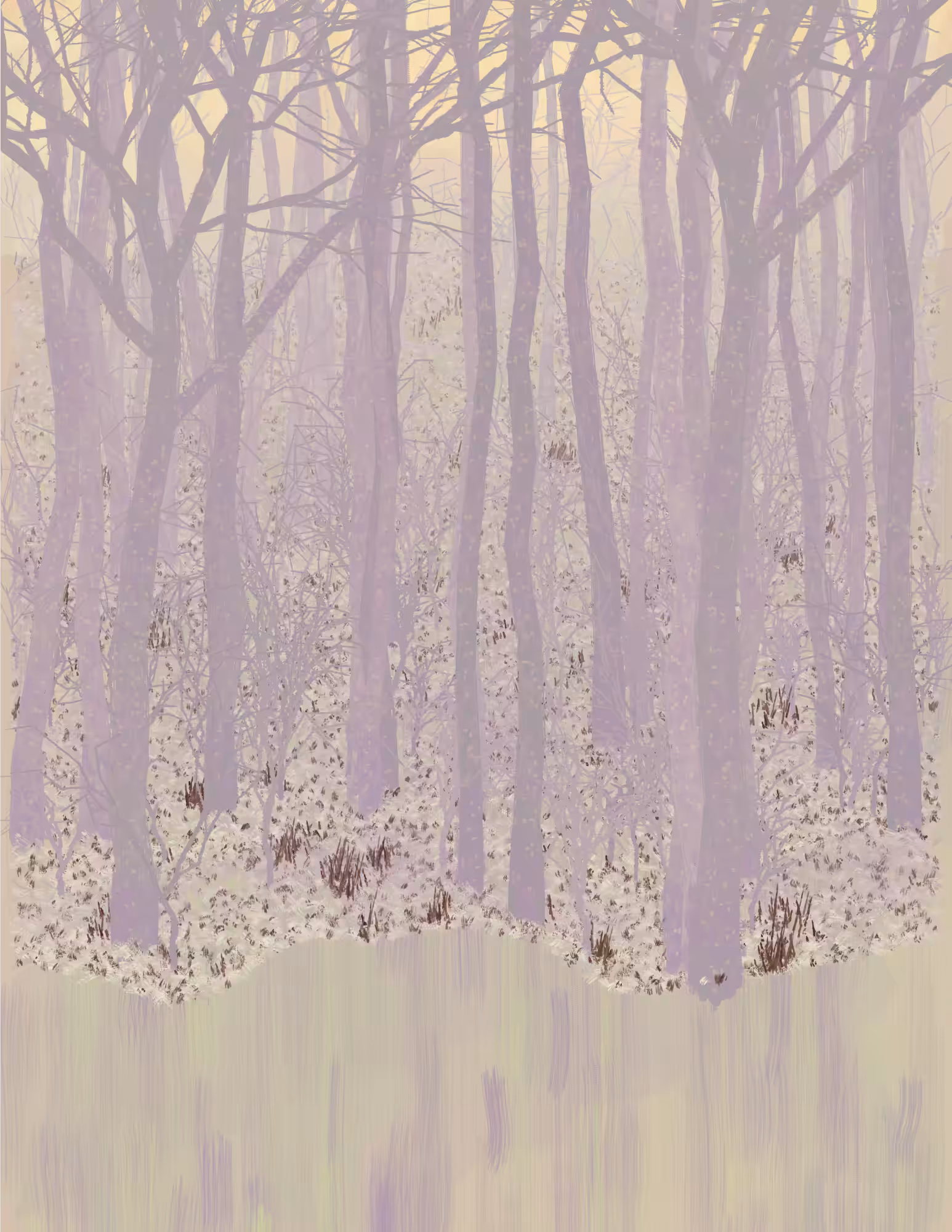 Deep Forest #207